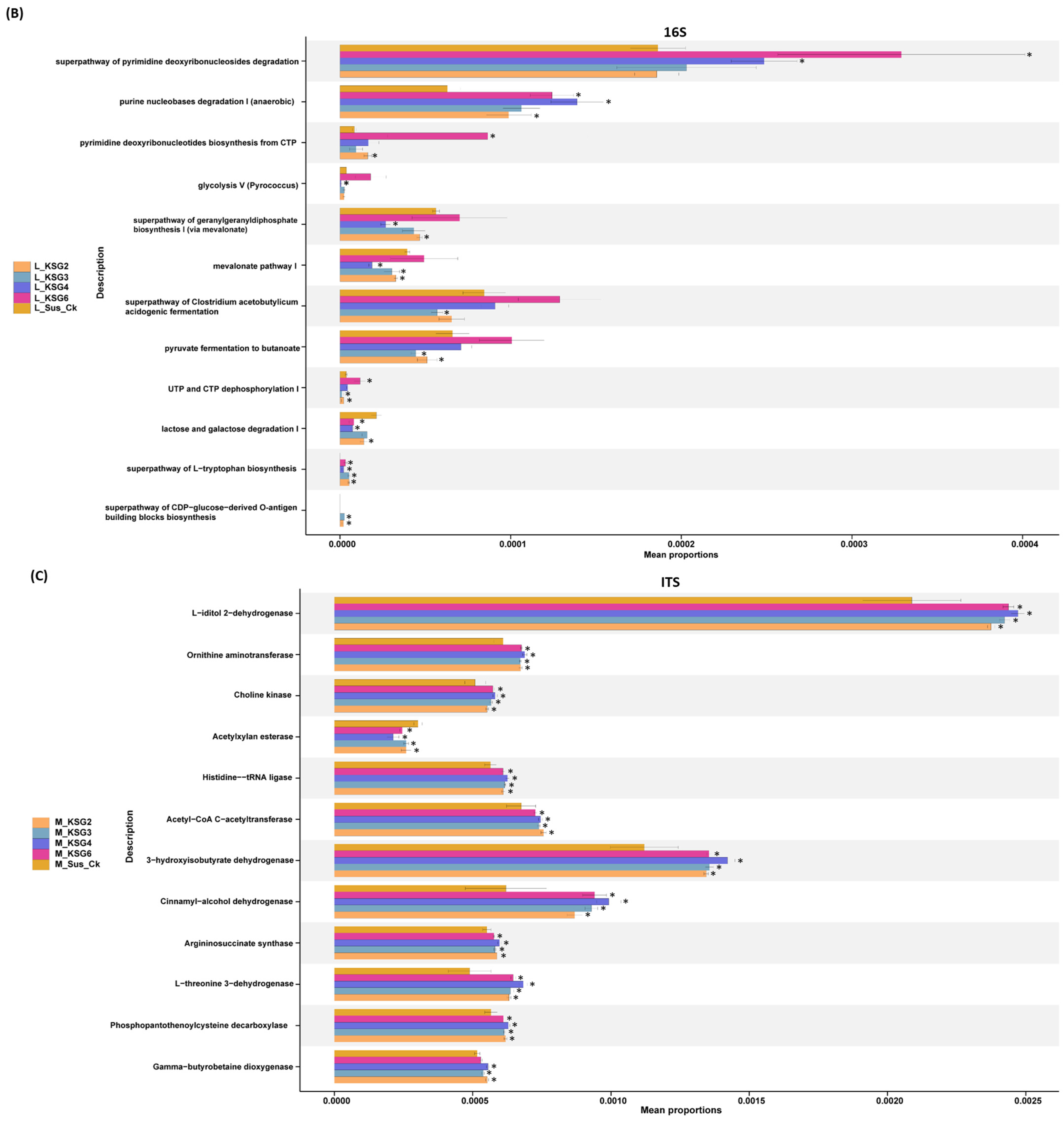 Ijms 25 12681 g004b Ijms 25 12681 g004b