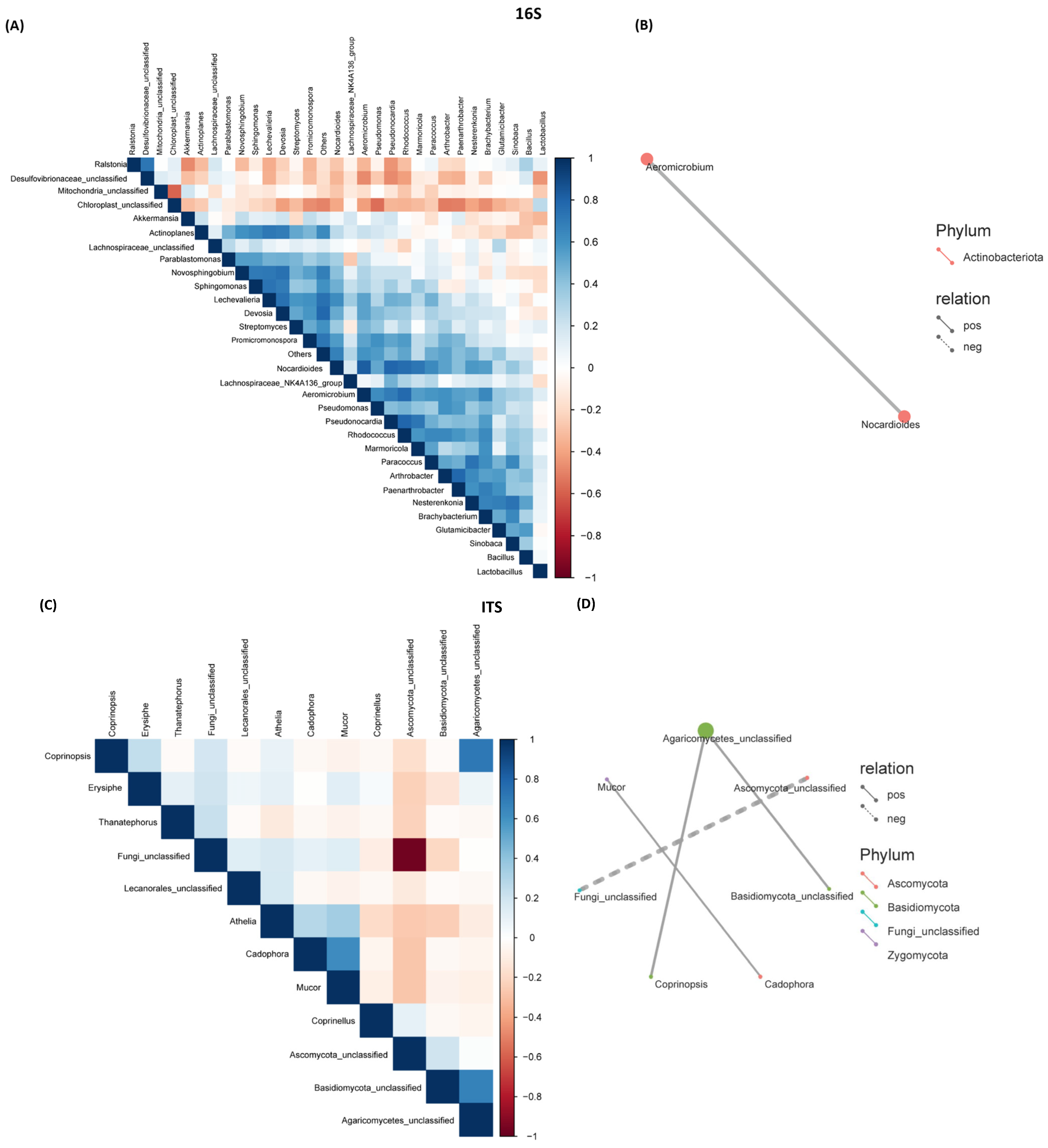 Ijms 25 12681 g005 Ijms 25 12681 g005