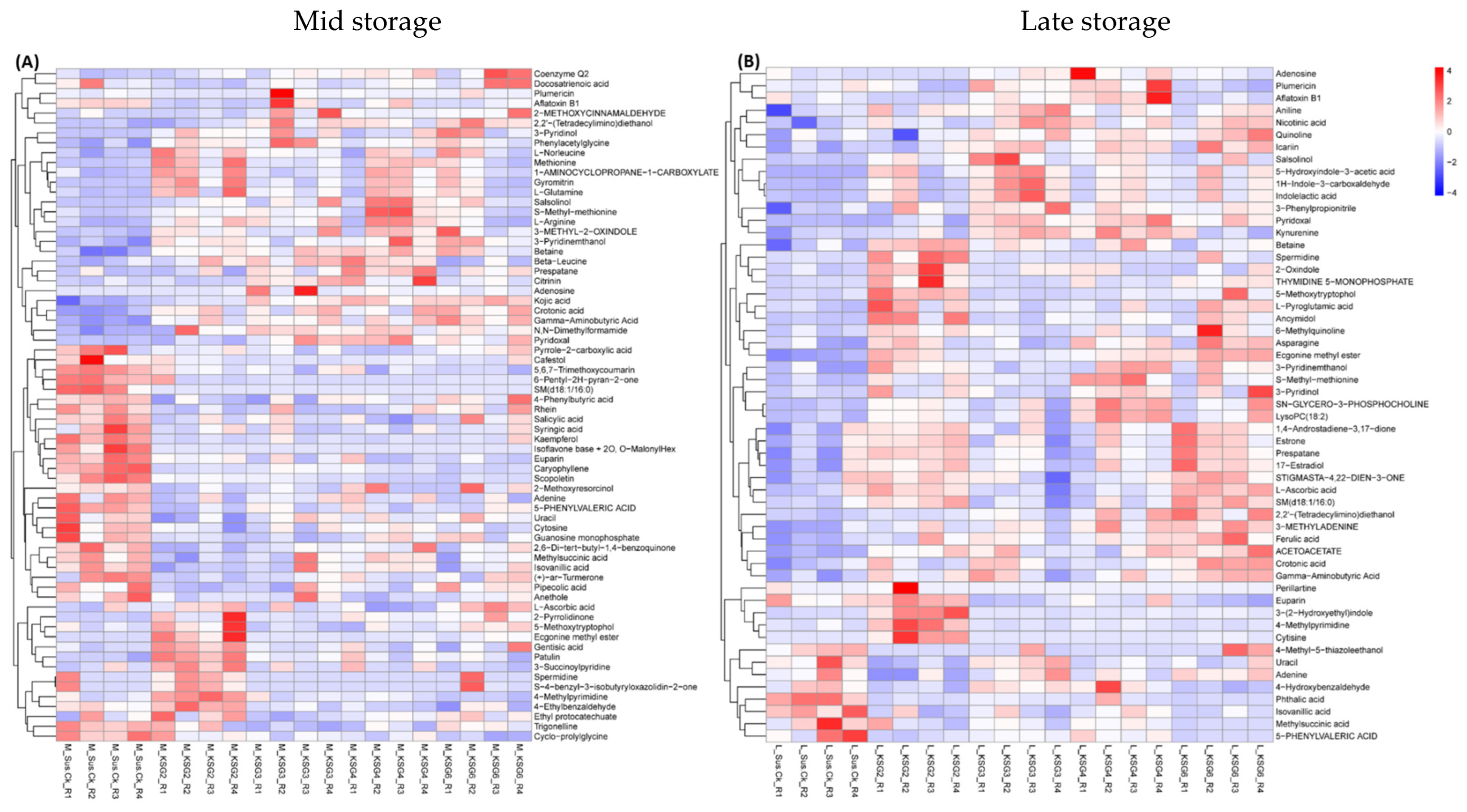 Ijms 25 12681 g006 Ijms 25 12681 g006
