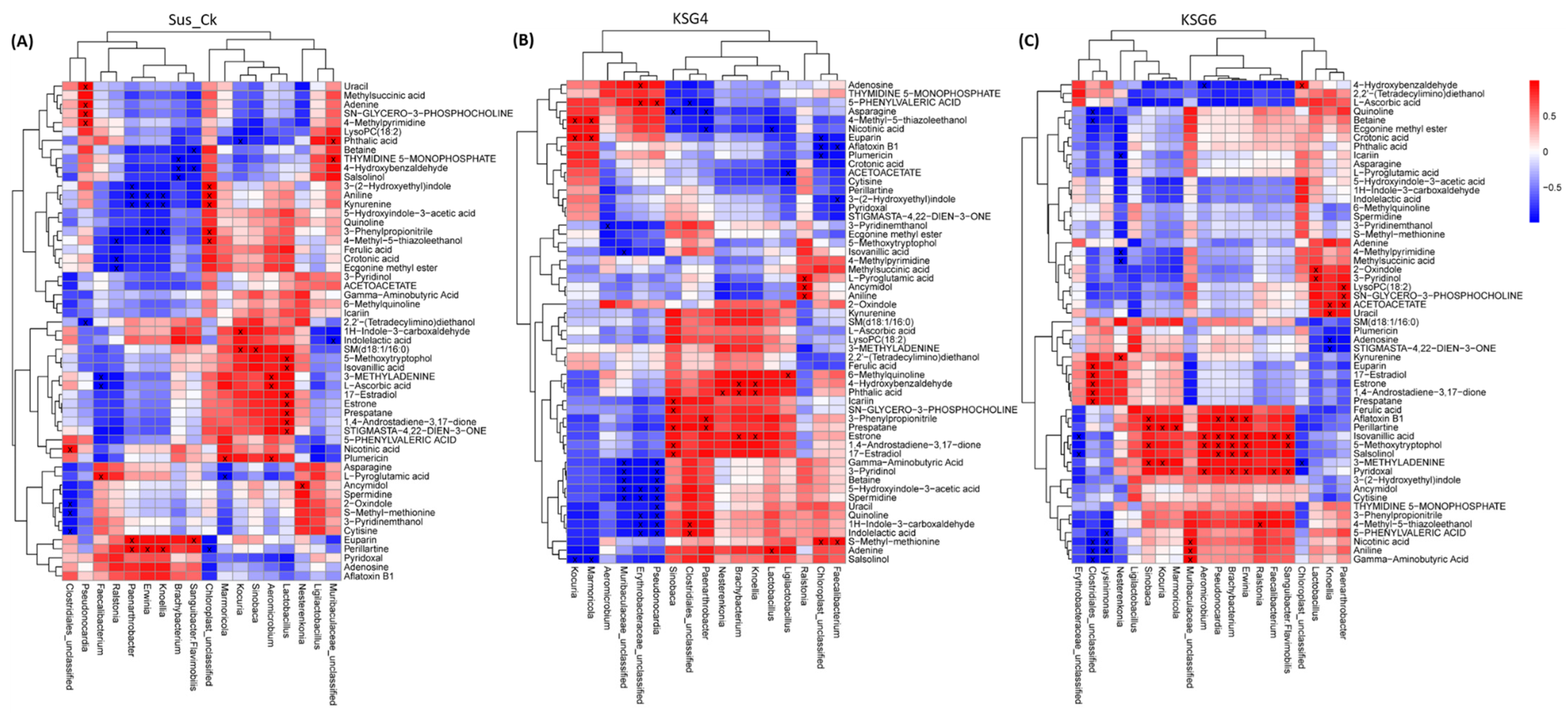 Ijms 25 12681 g009 Ijms 25 12681 g009