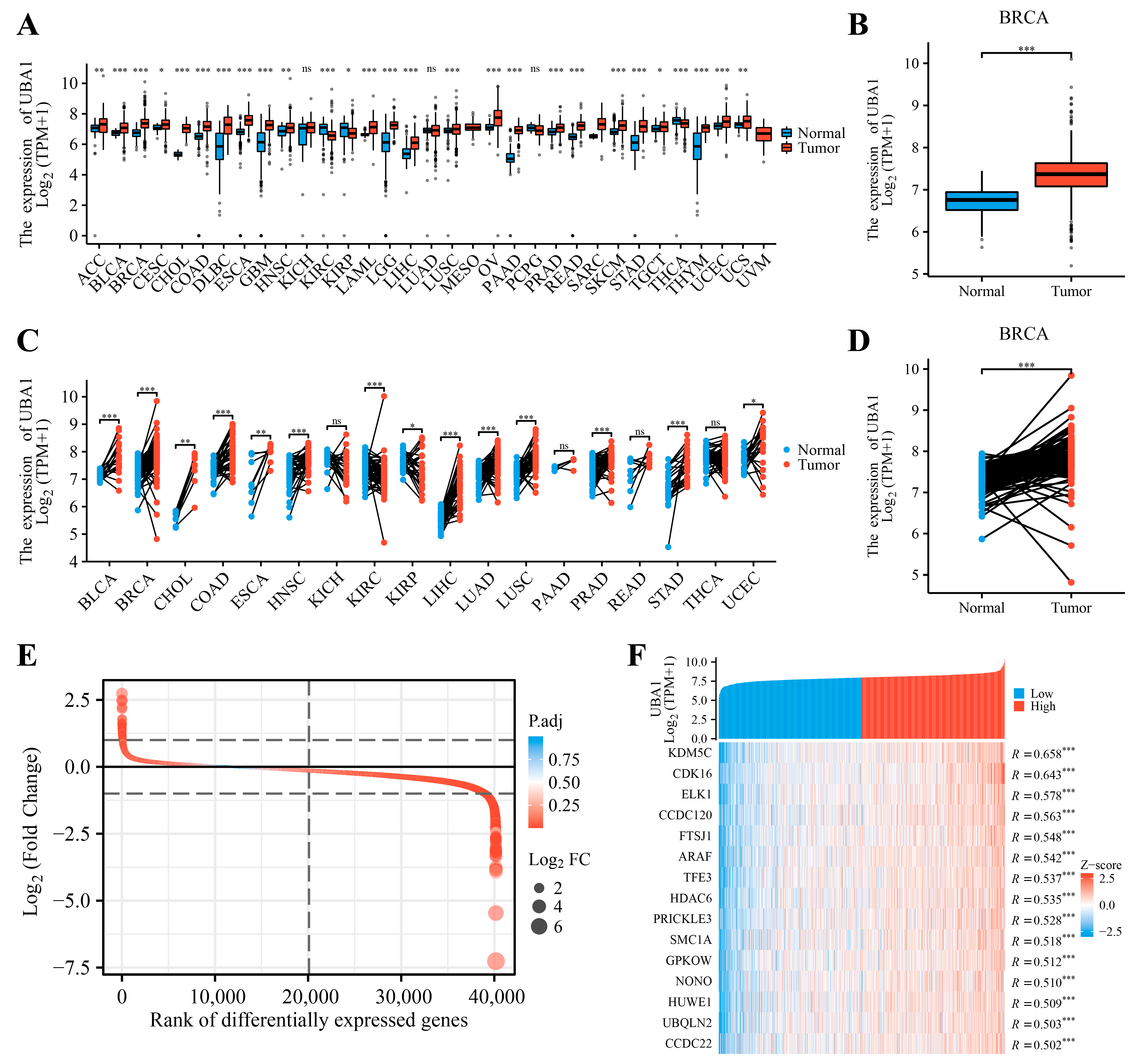 Ijms 25 12696 g001 Ijms 25 12696 g001