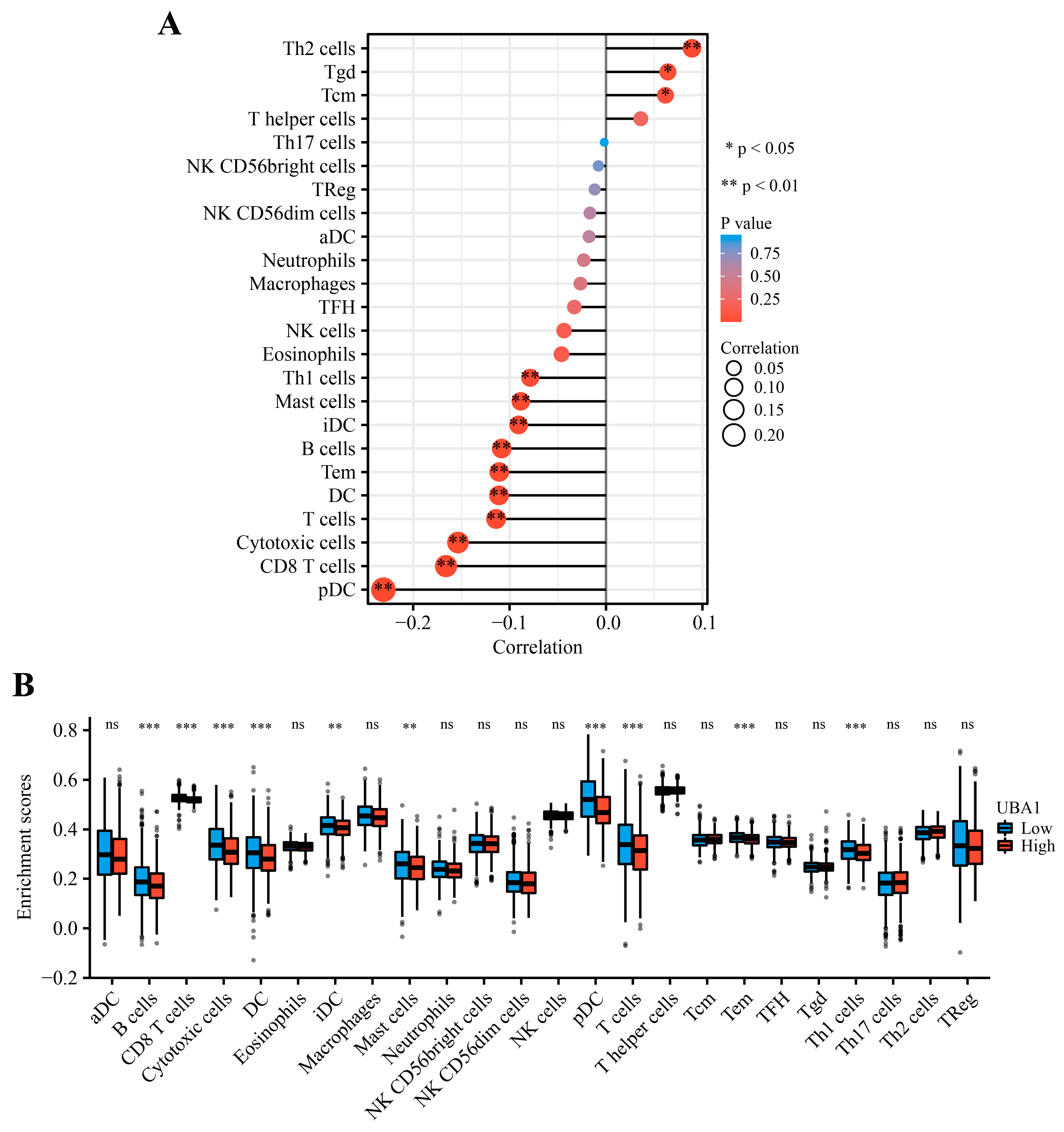 Ijms 25 12696 g004 Ijms 25 12696 g004