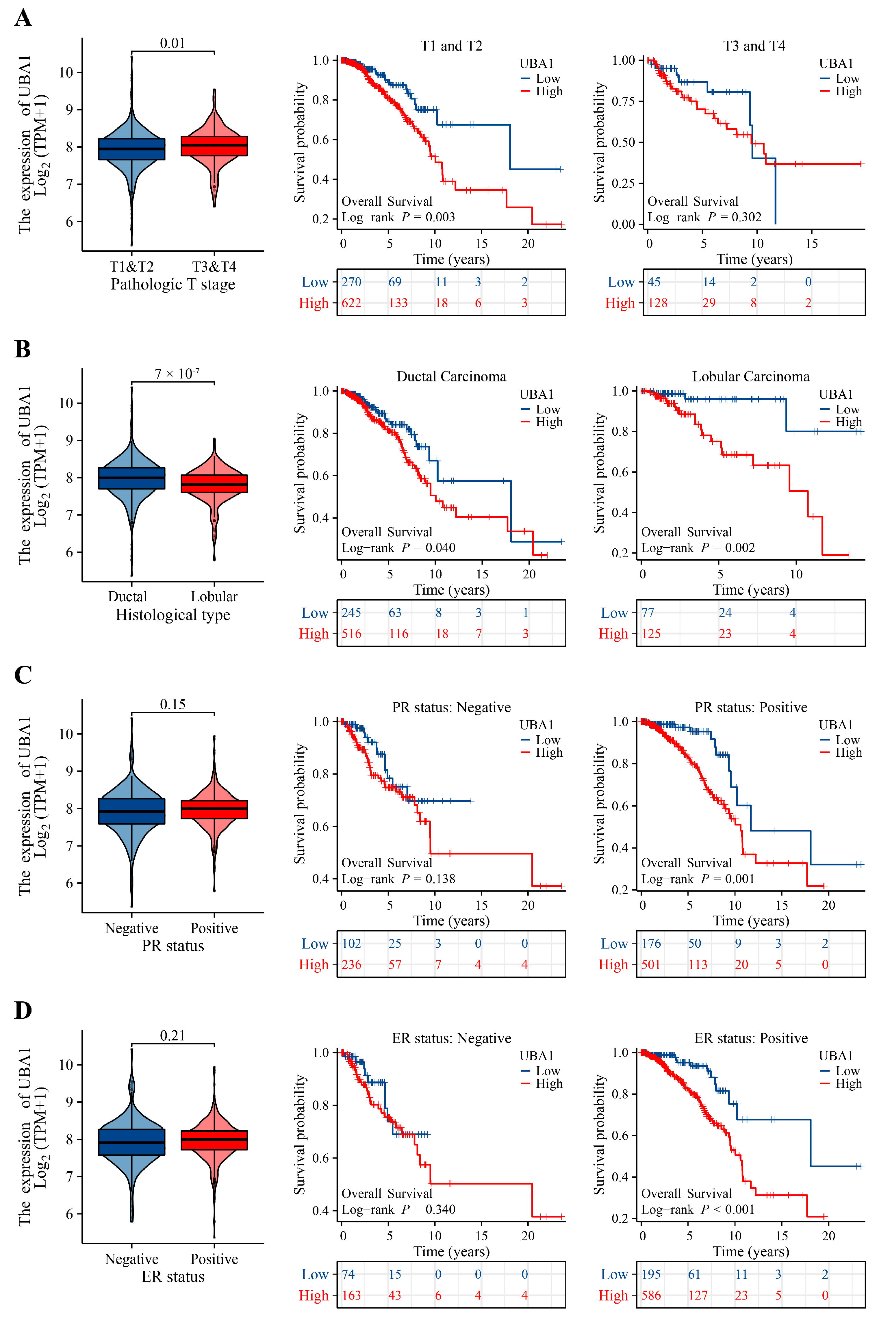 Ijms 25 12696 g005 Ijms 25 12696 g005