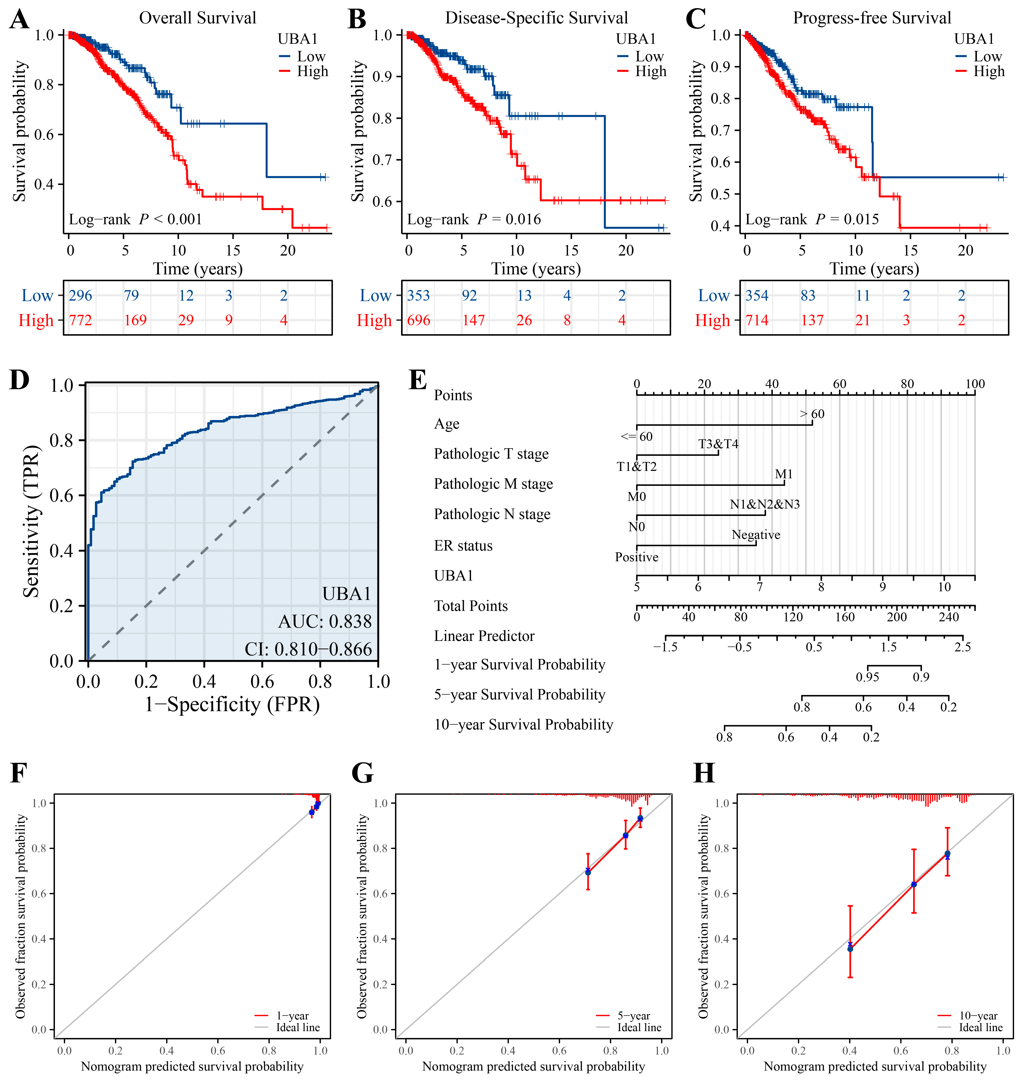 Ijms 25 12696 g006 Ijms 25 12696 g006
