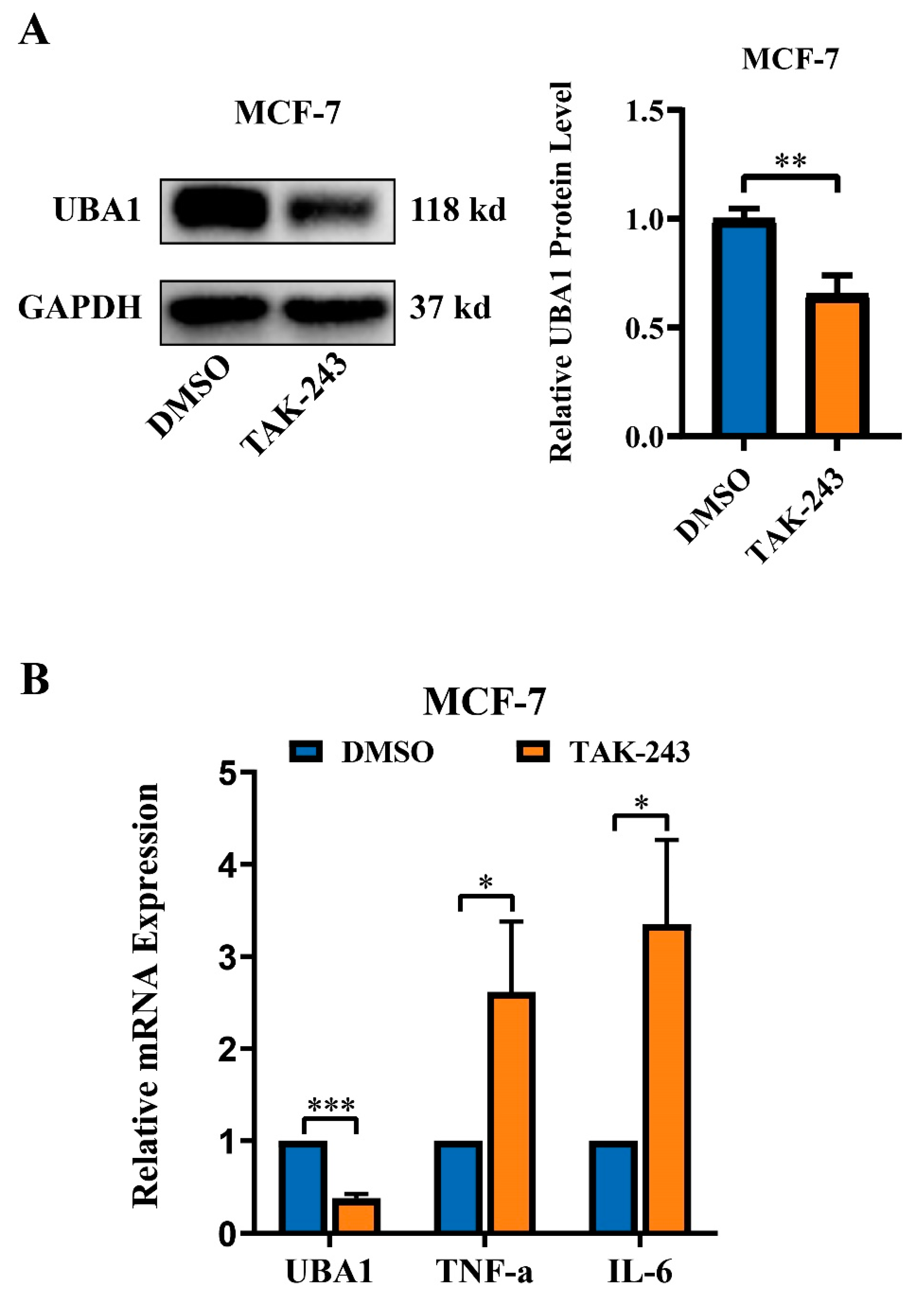 Ijms 25 12696 g009 Ijms 25 12696 g009