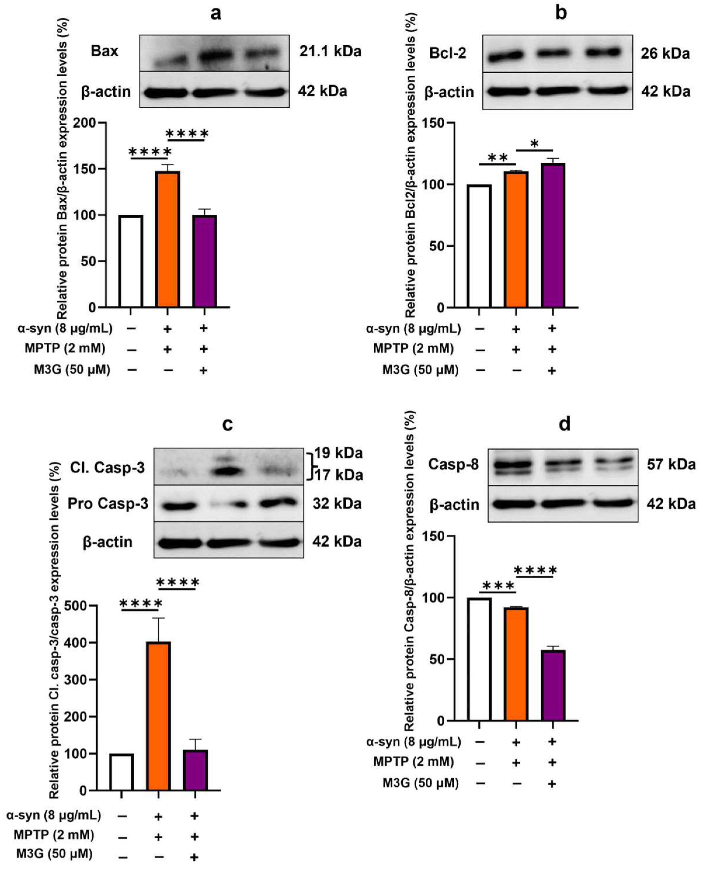 Ijms 25 12733 g004 Ijms 25 12733 g004