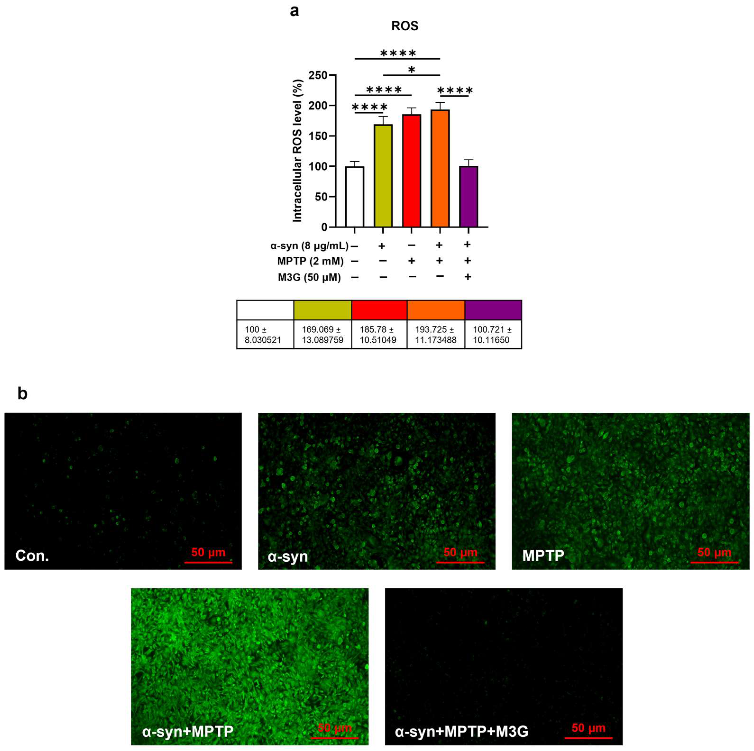 Ijms 25 12733 g006 Ijms 25 12733 g006