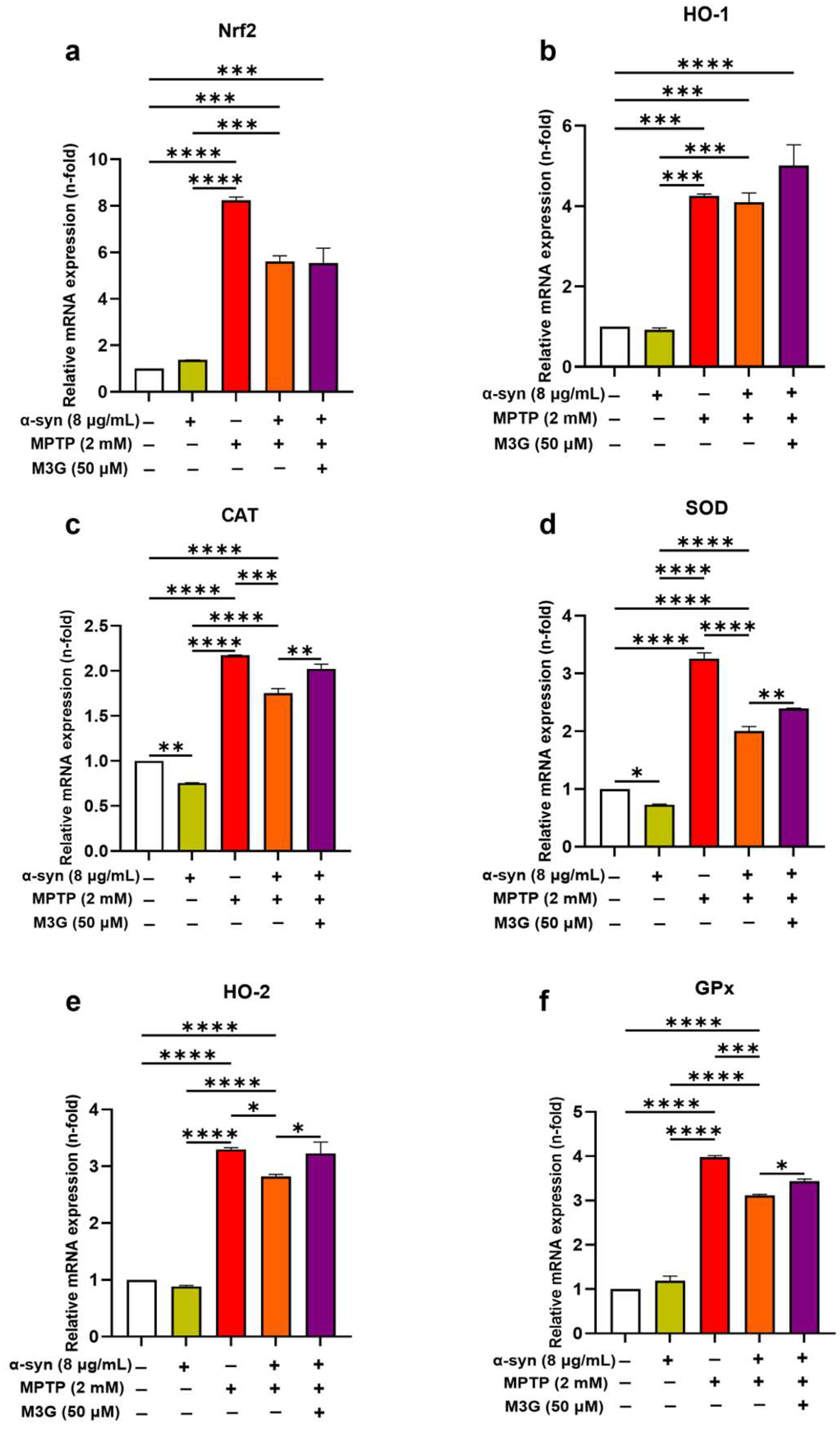 Ijms 25 12733 g007 Ijms 25 12733 g007