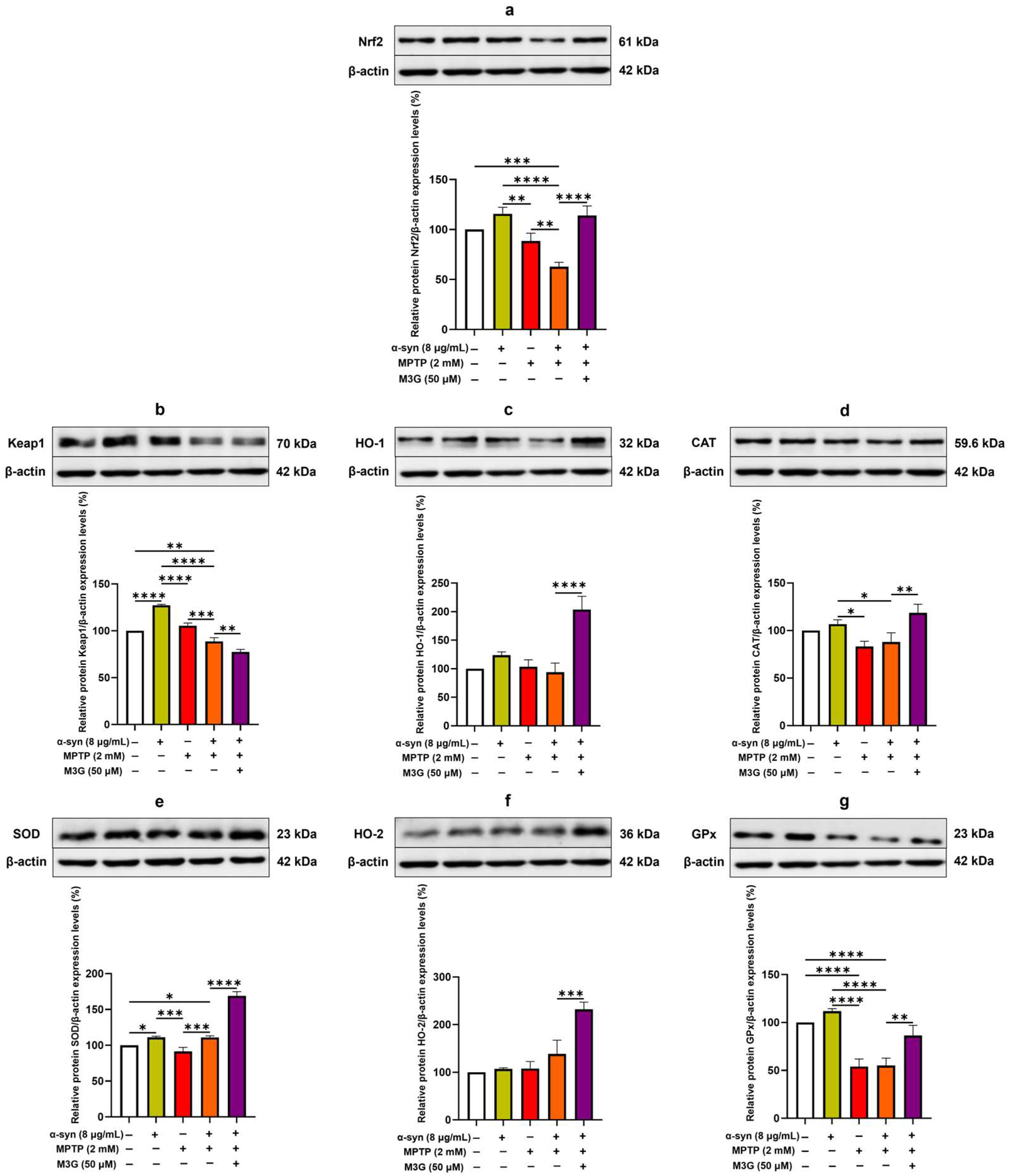 Ijms 25 12733 g008 Ijms 25 12733 g008