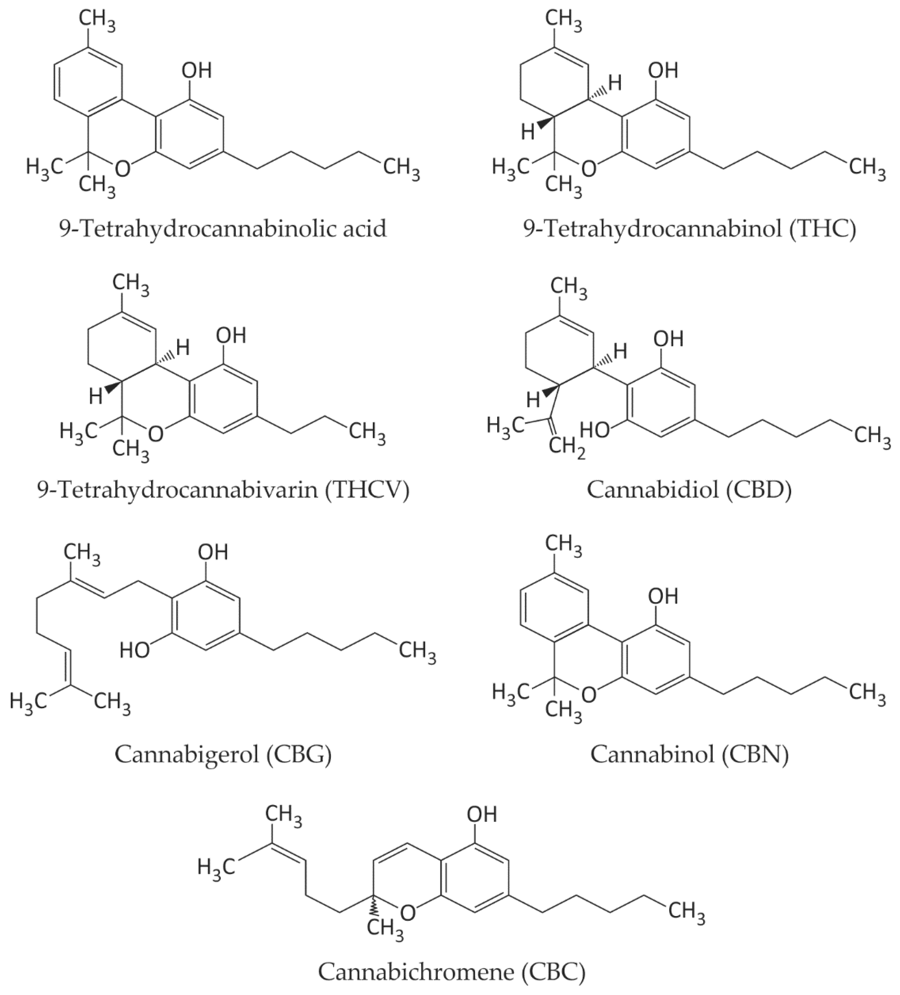 Ijms 25 12738 g001 Ijms 25 12738 g001