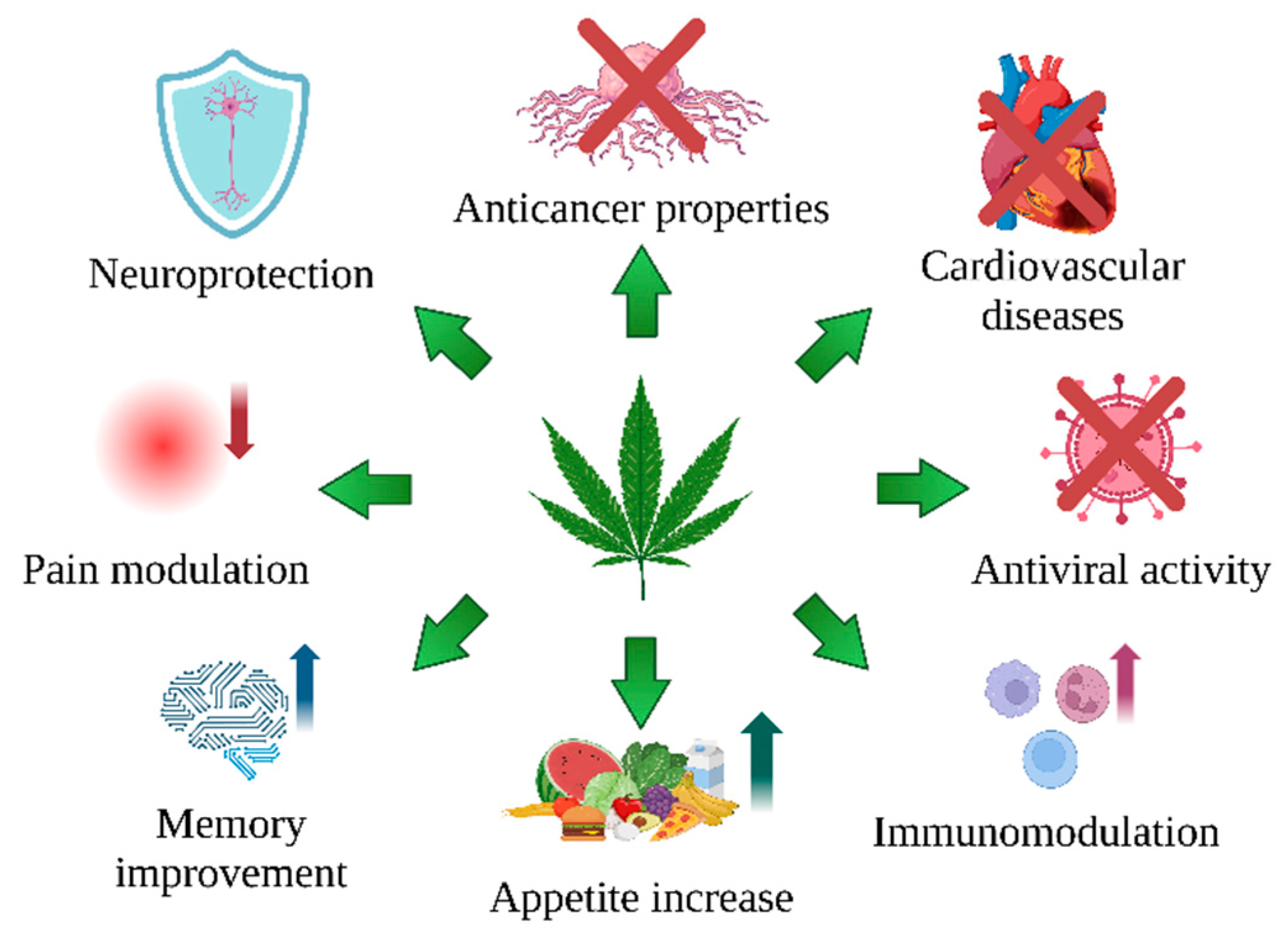 Ijms 25 12738 g002 Ijms 25 12738 g002