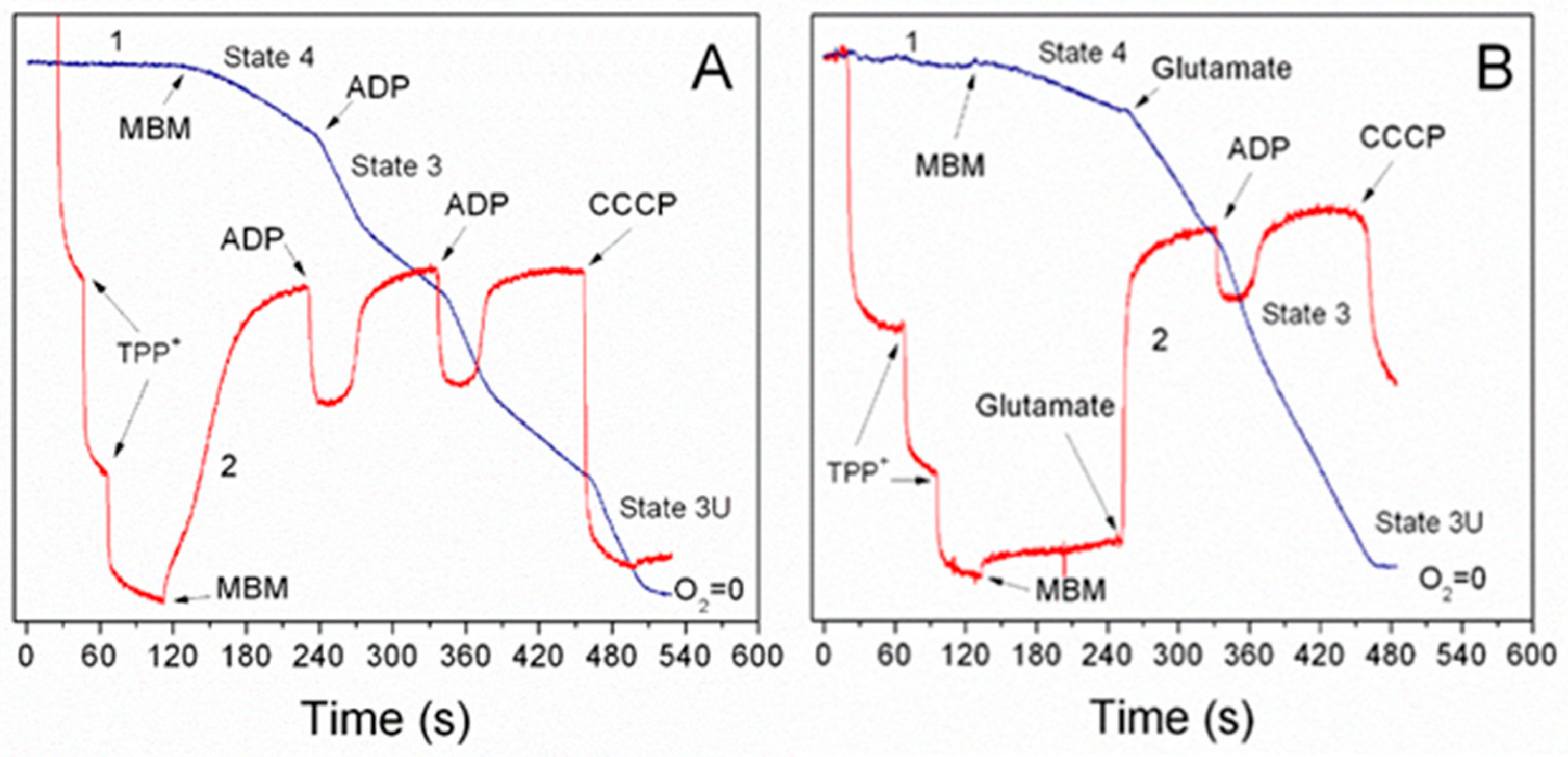 Ijms 25 12740 g001 Ijms 25 12740 g001