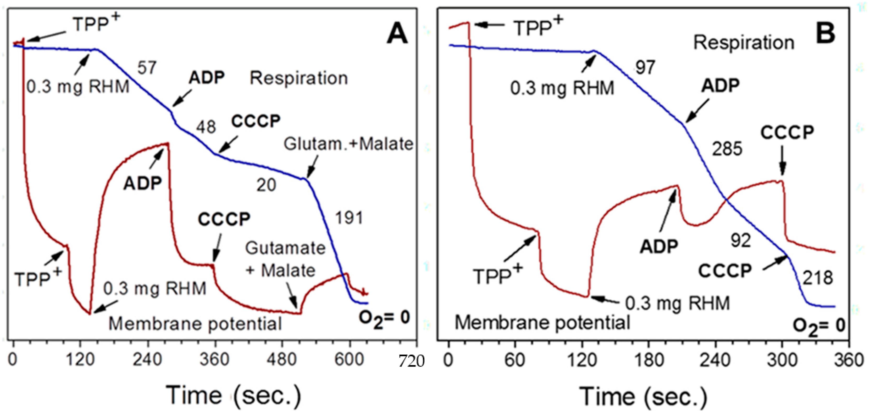 Ijms 25 12740 g002 Ijms 25 12740 g002