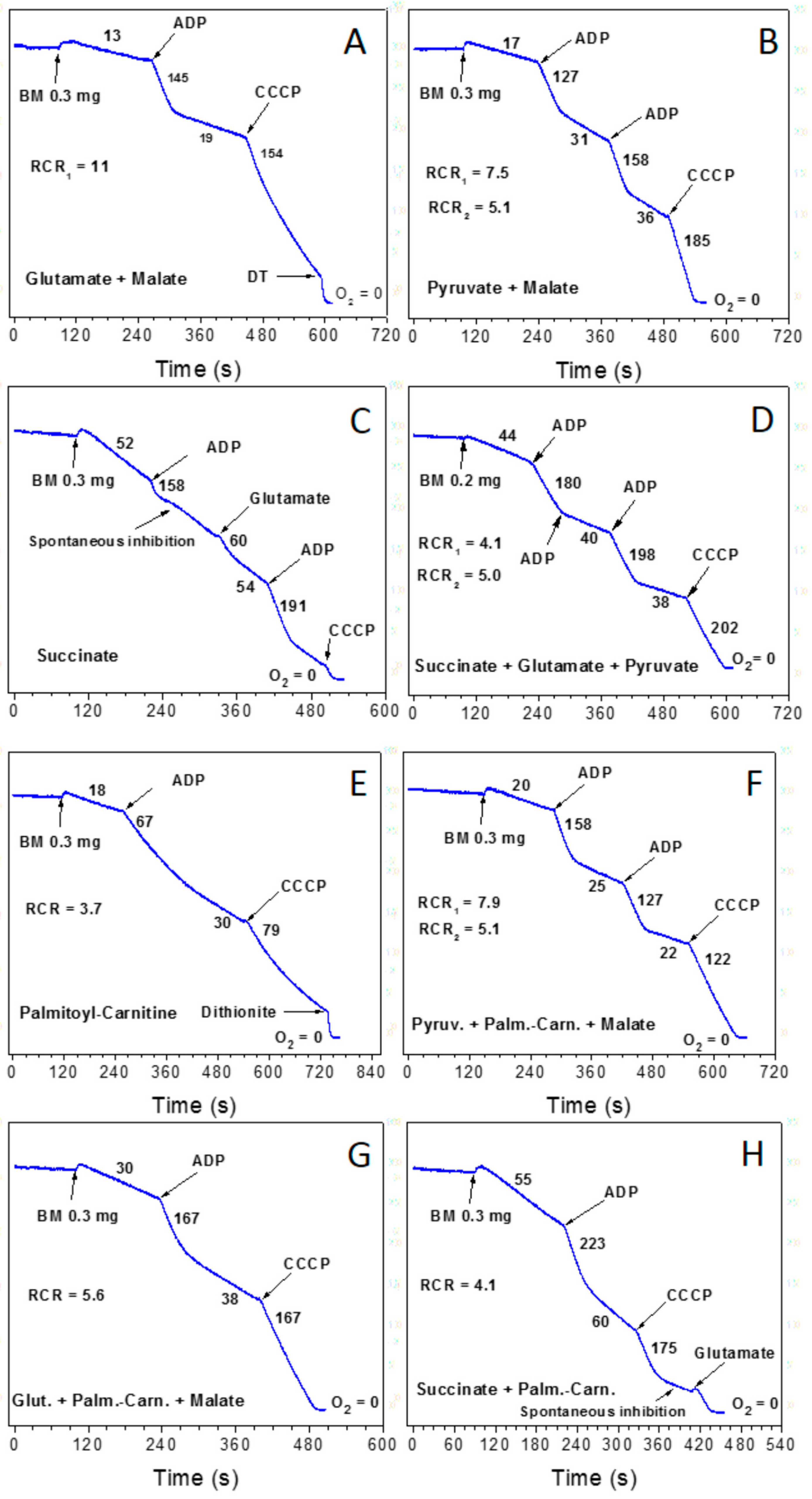 Ijms 25 12740 g003 Ijms 25 12740 g003
