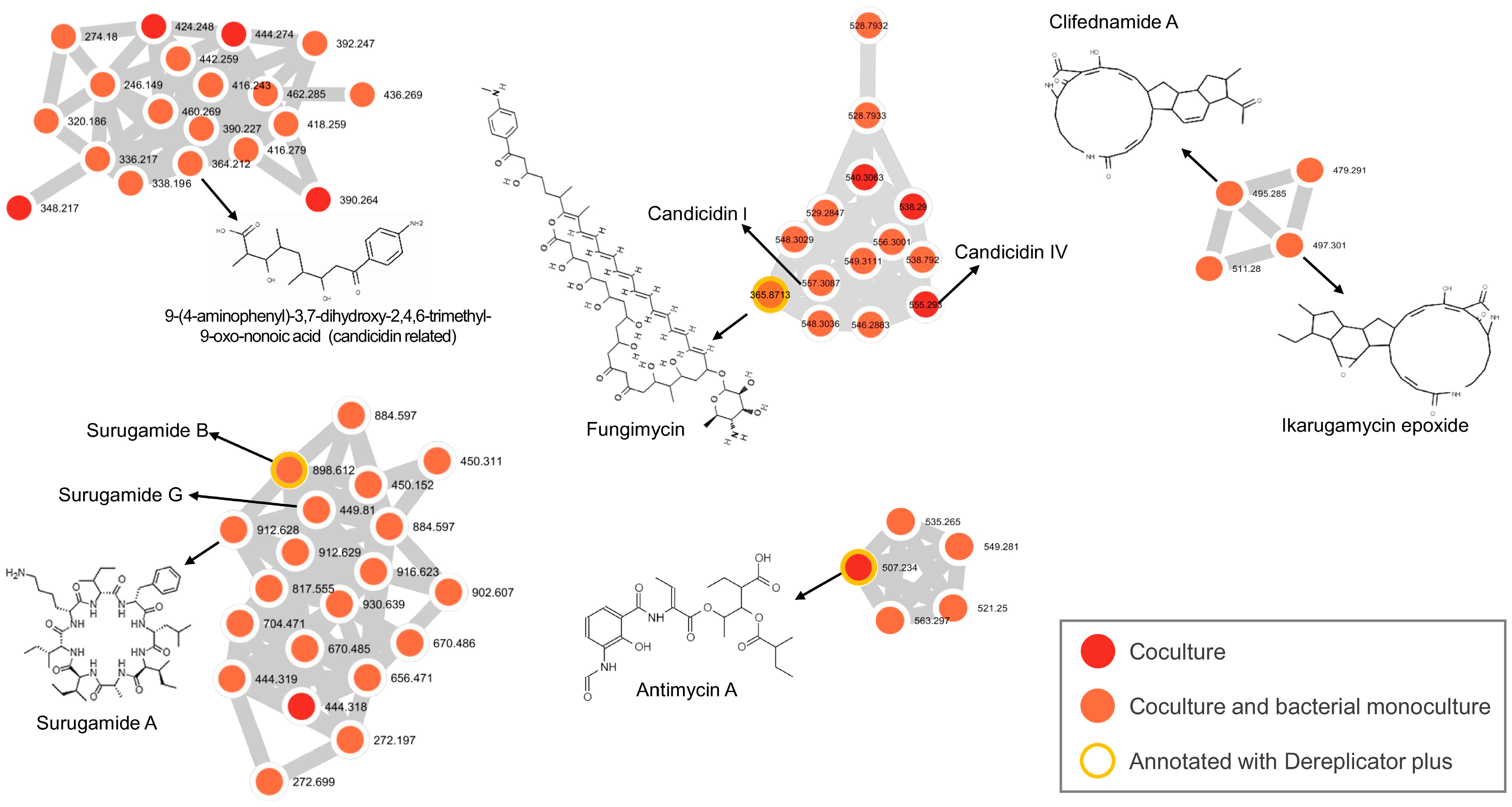 Ijms 25 12744 g002 Ijms 25 12744 g002