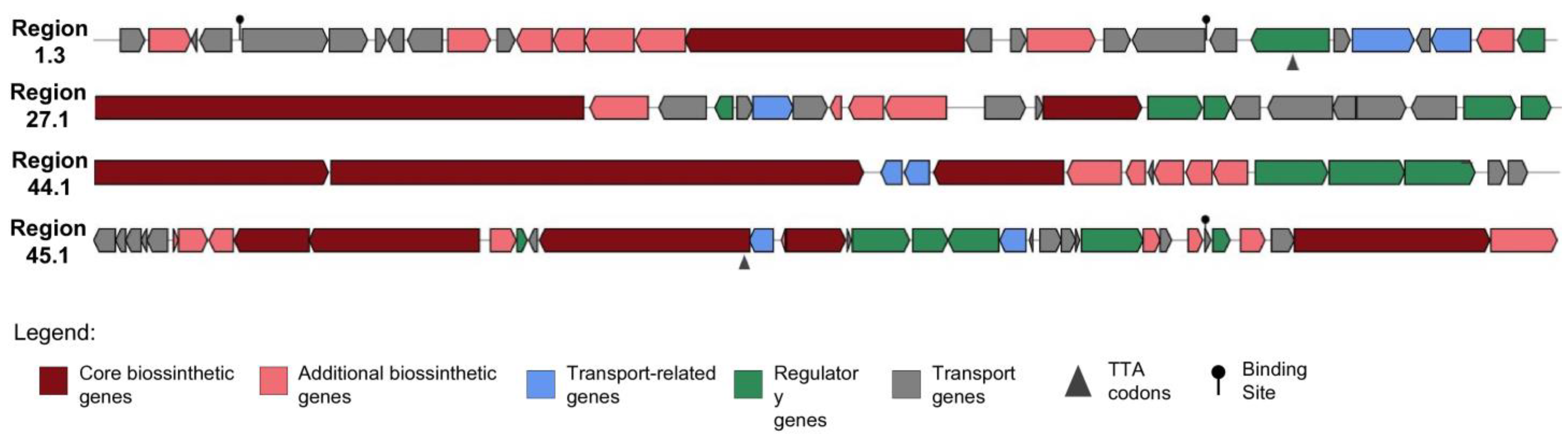 Ijms 25 12744 g004 Ijms 25 12744 g004