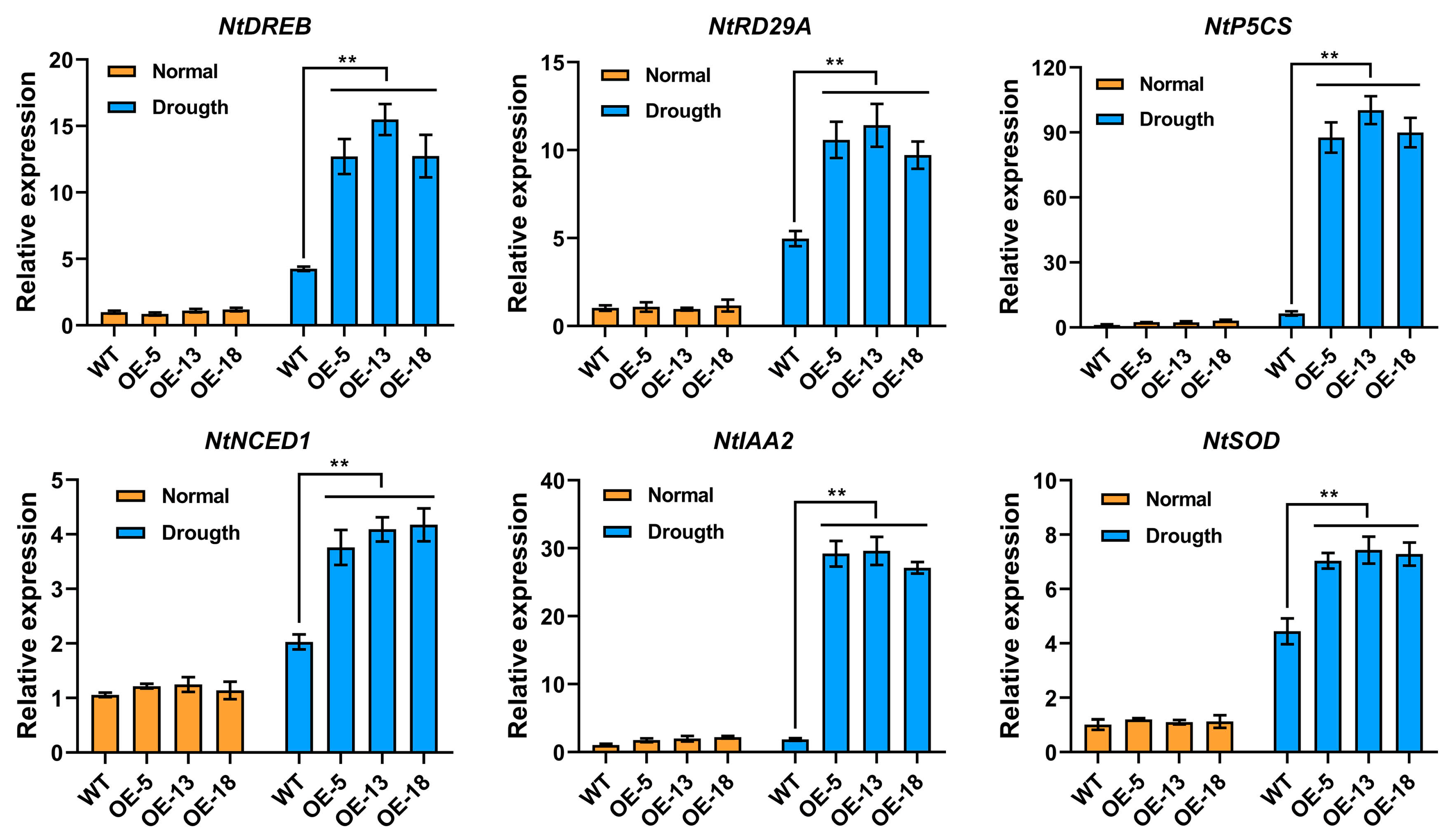 Ijms 25 12748 g007 Ijms 25 12748 g007