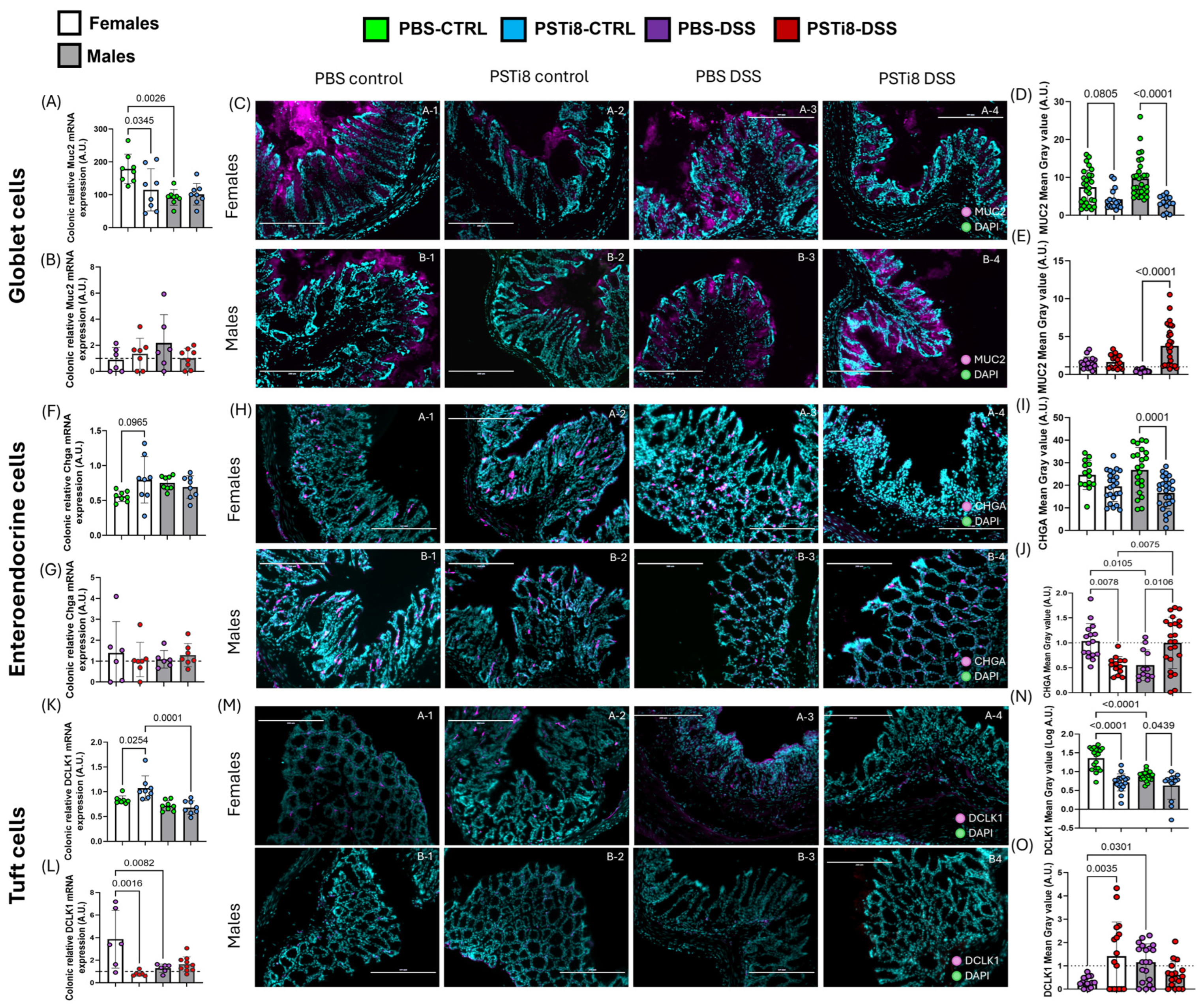 Ijms 25 12757 g005 Ijms 25 12757 g005