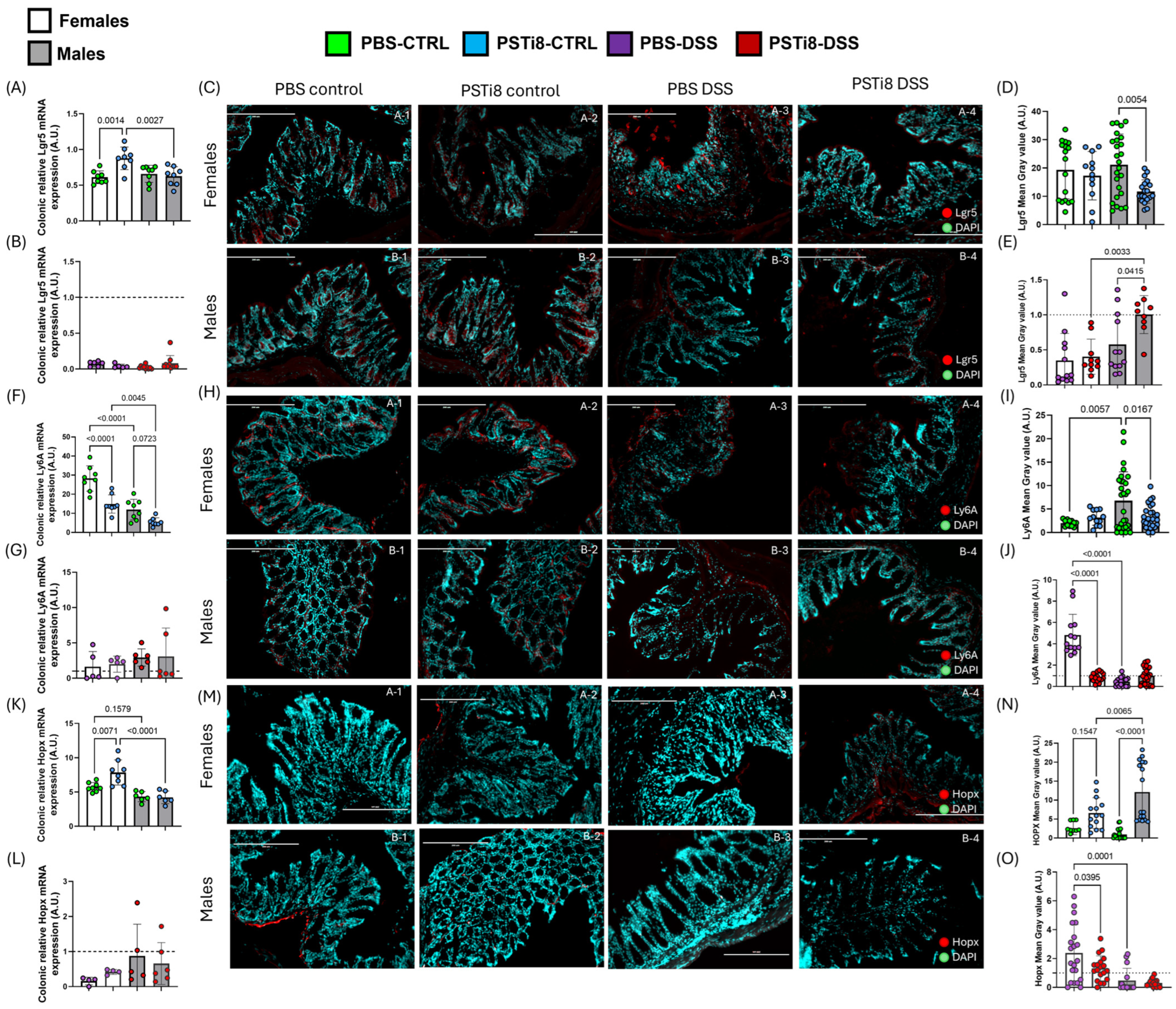 Ijms 25 12757 g006 Ijms 25 12757 g006