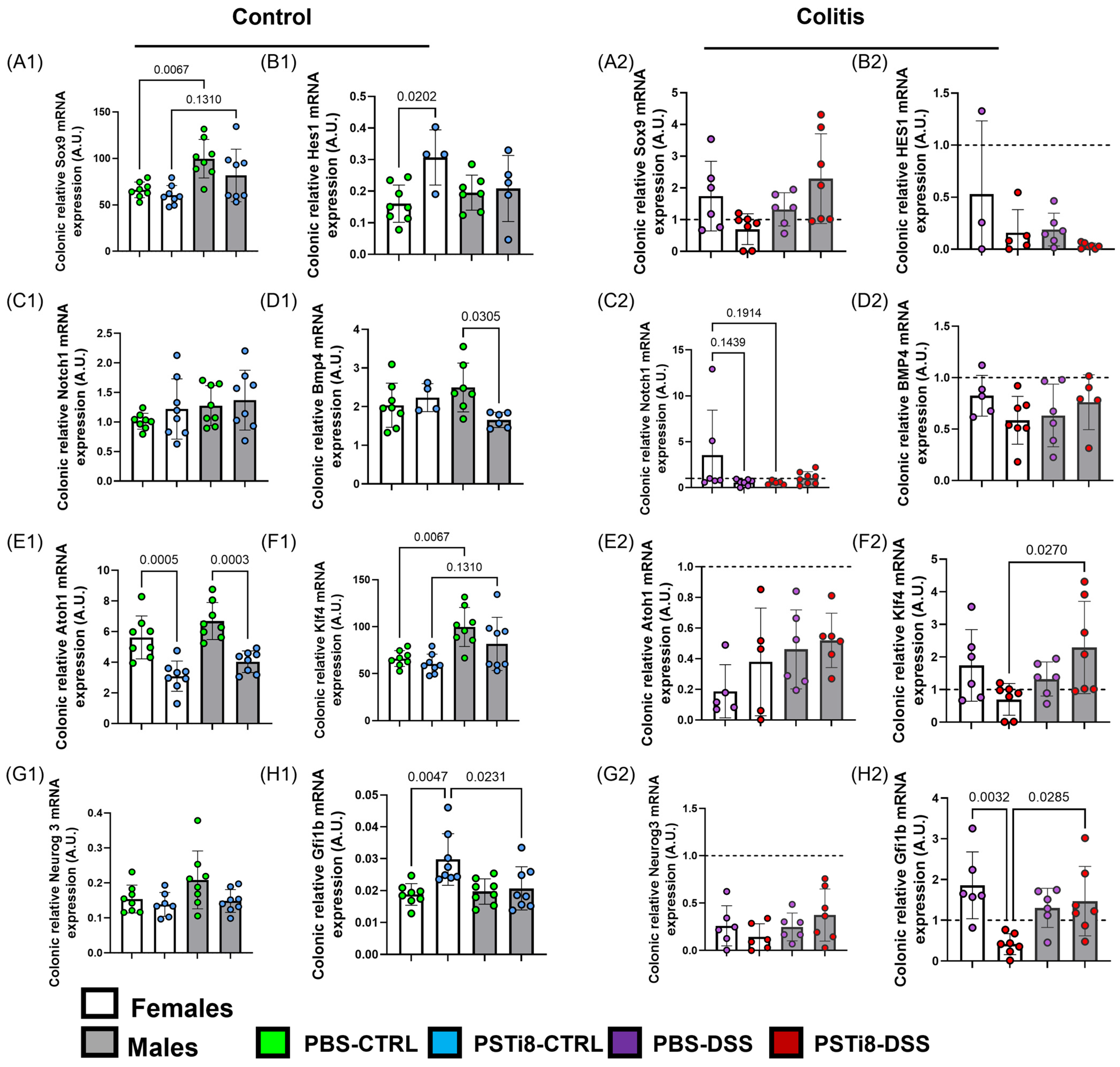 Ijms 25 12757 g007 Ijms 25 12757 g007