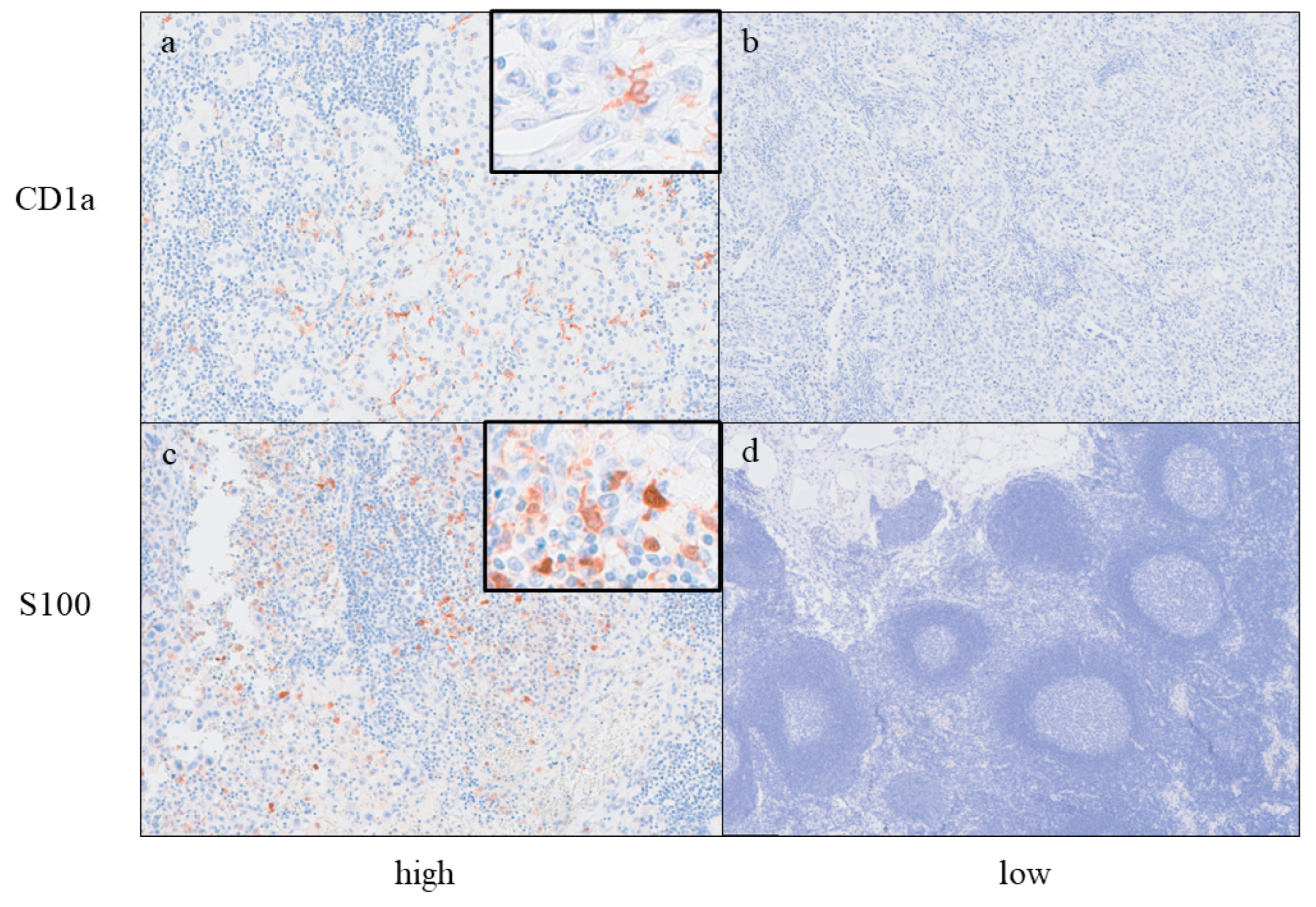 Ijms 25 12763 g001 Ijms 25 12763 g001