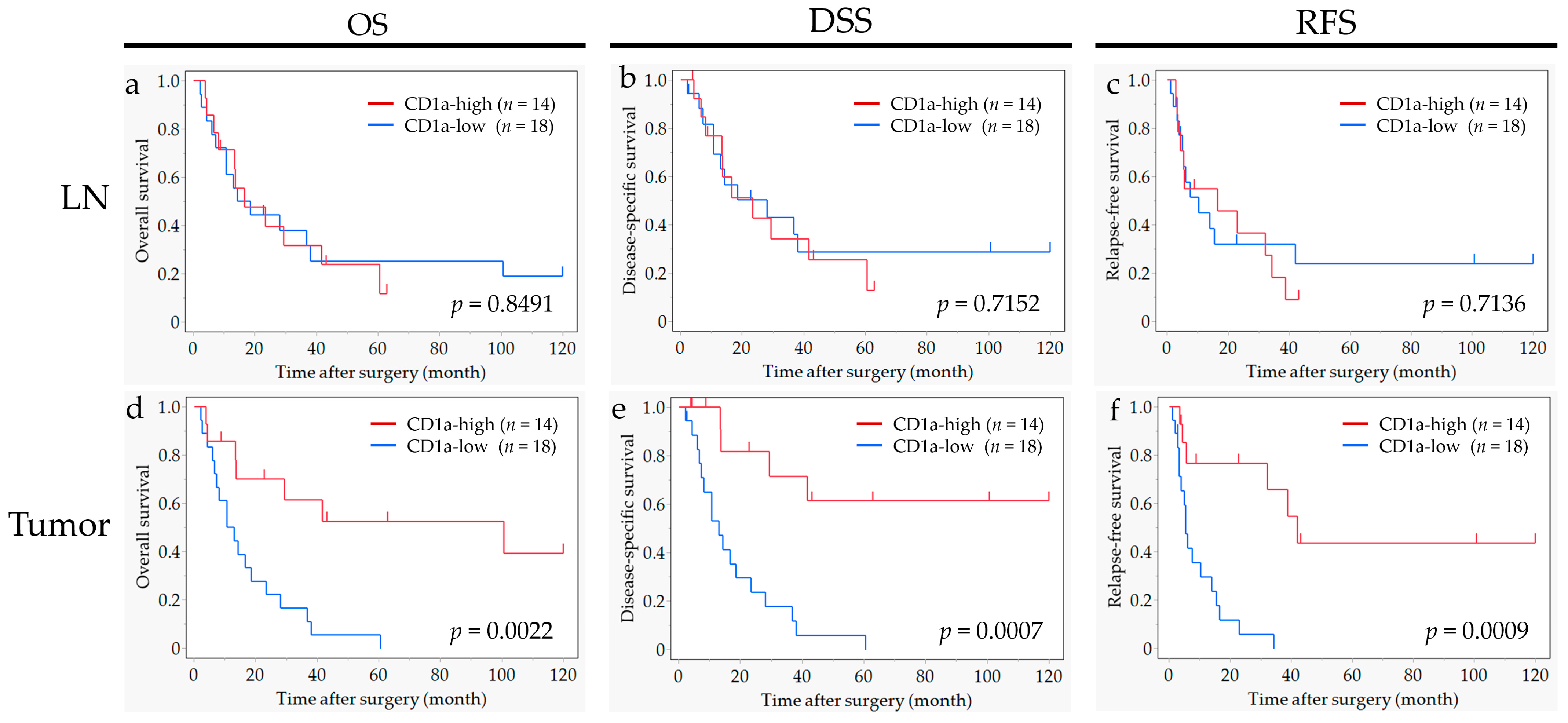 Ijms 25 12763 g004 Ijms 25 12763 g004