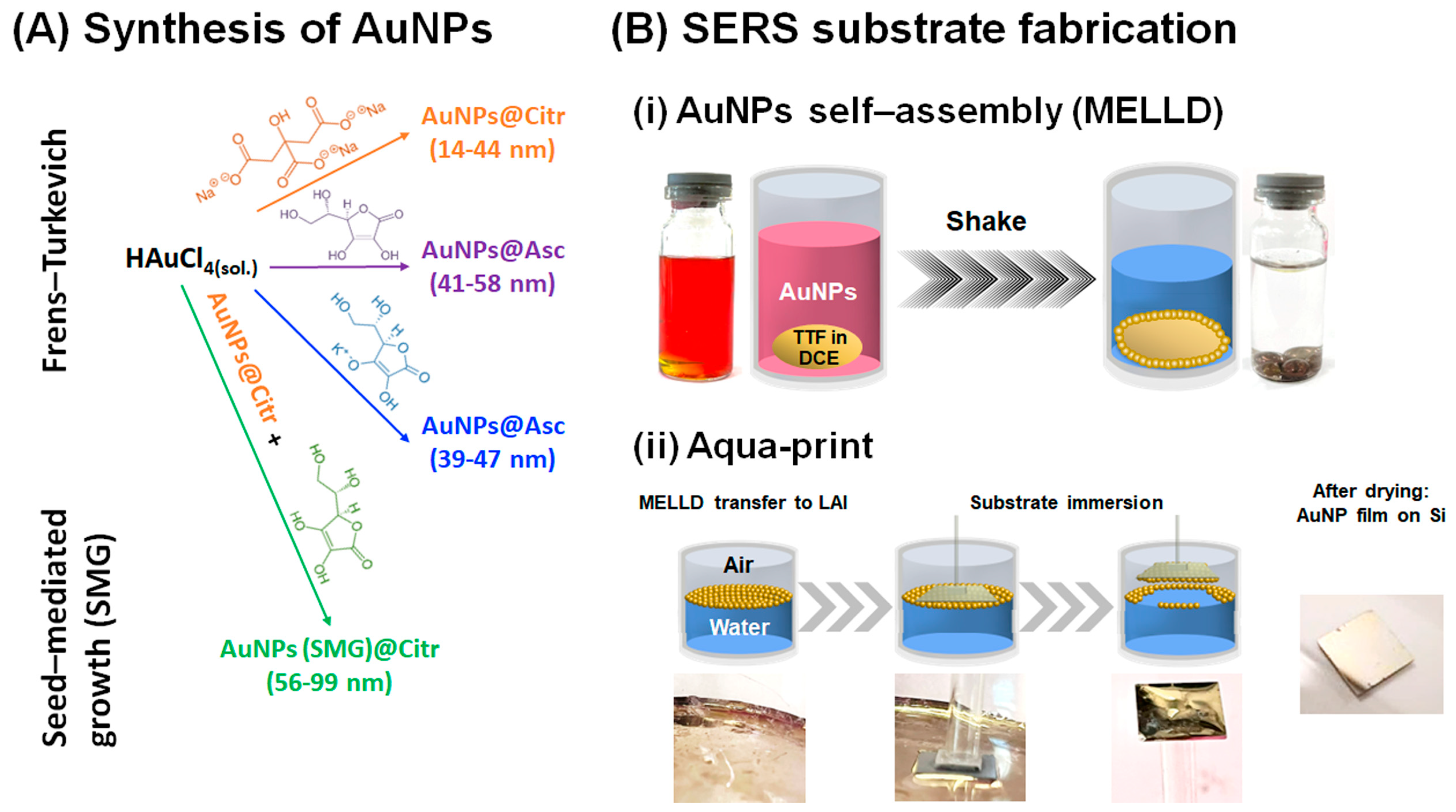 Ijms 25 12785 sch001
