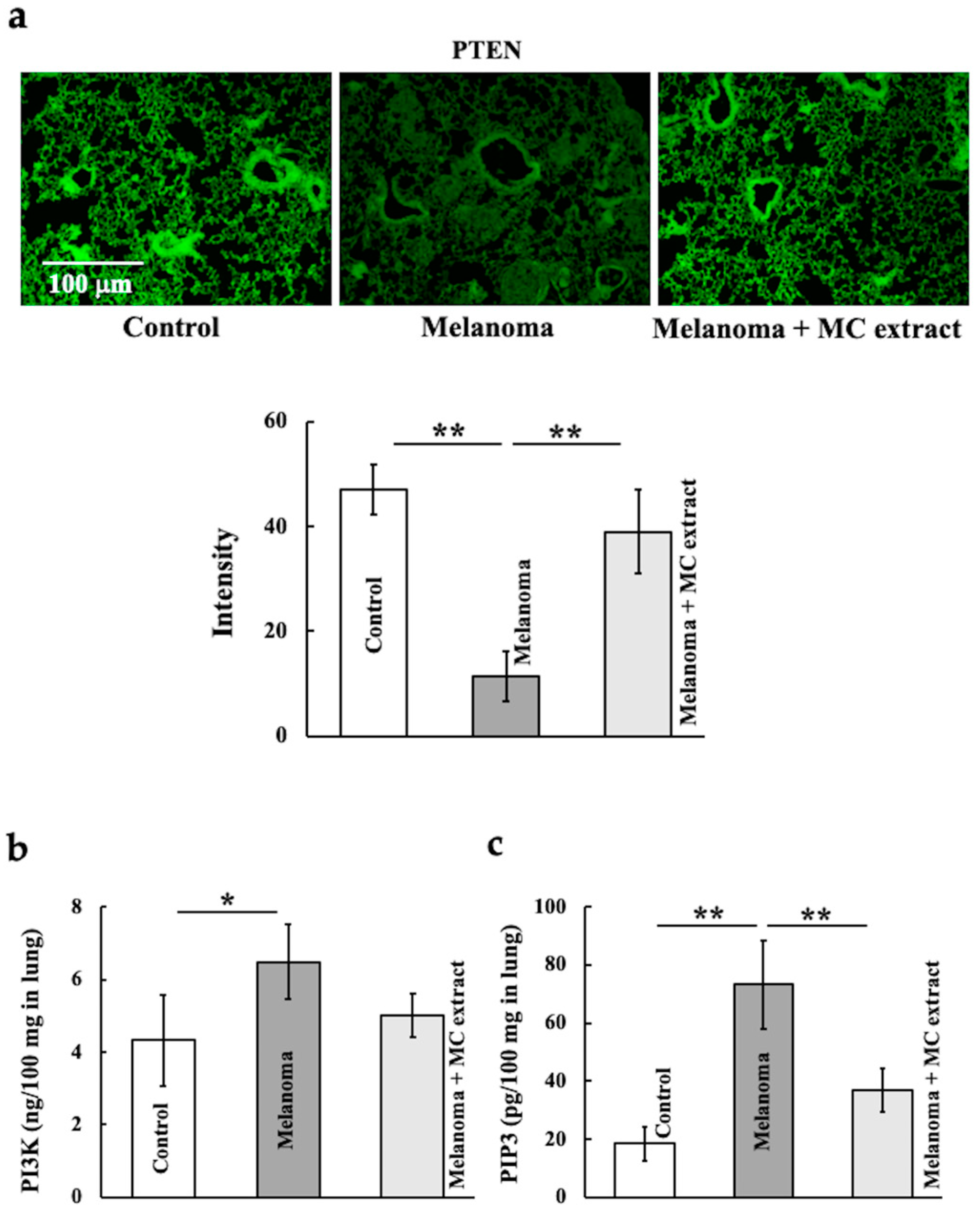 Ijms 25 12800 g003 Ijms 25 12800 g003