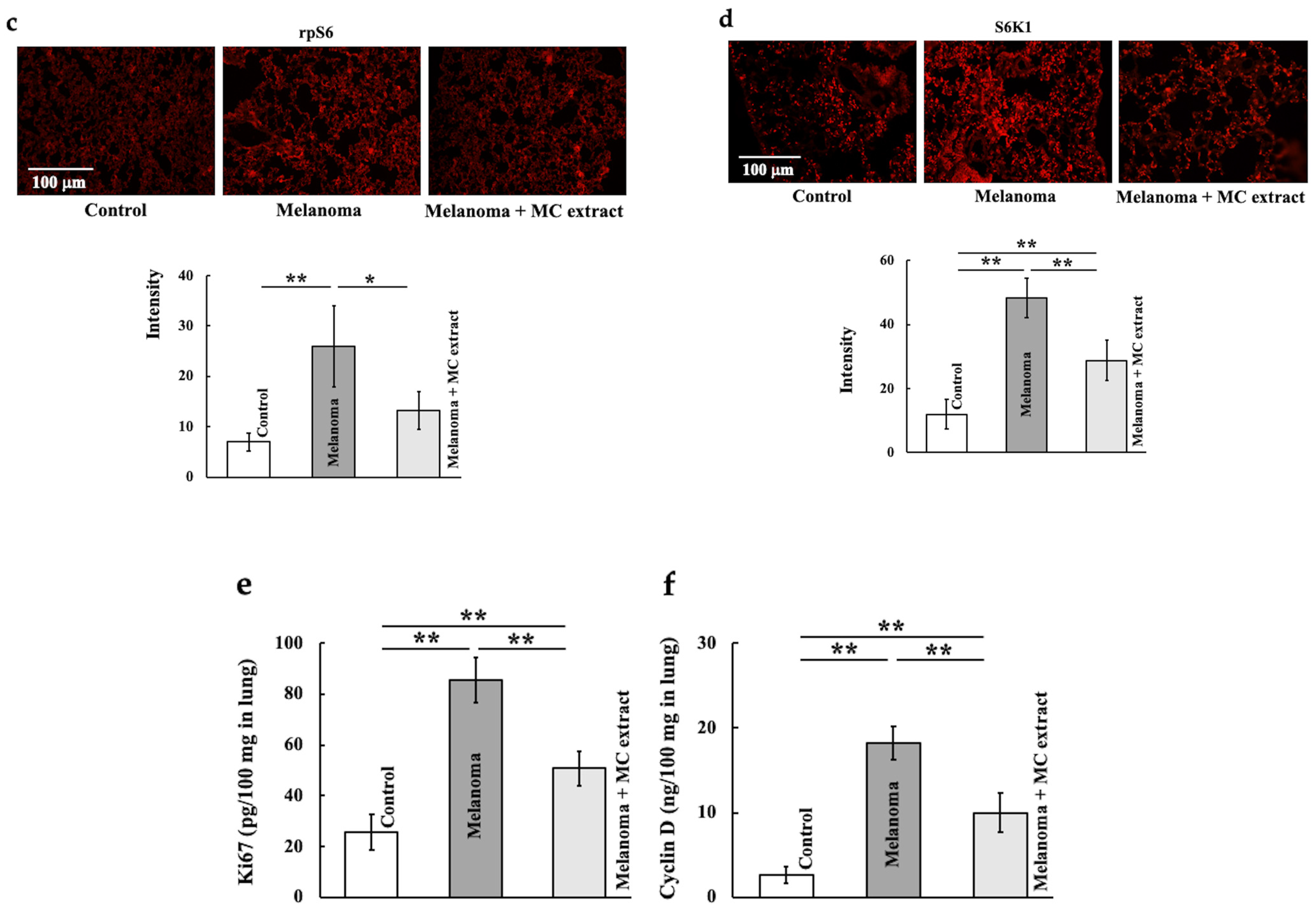Ijms 25 12800 g004b Ijms 25 12800 g004b