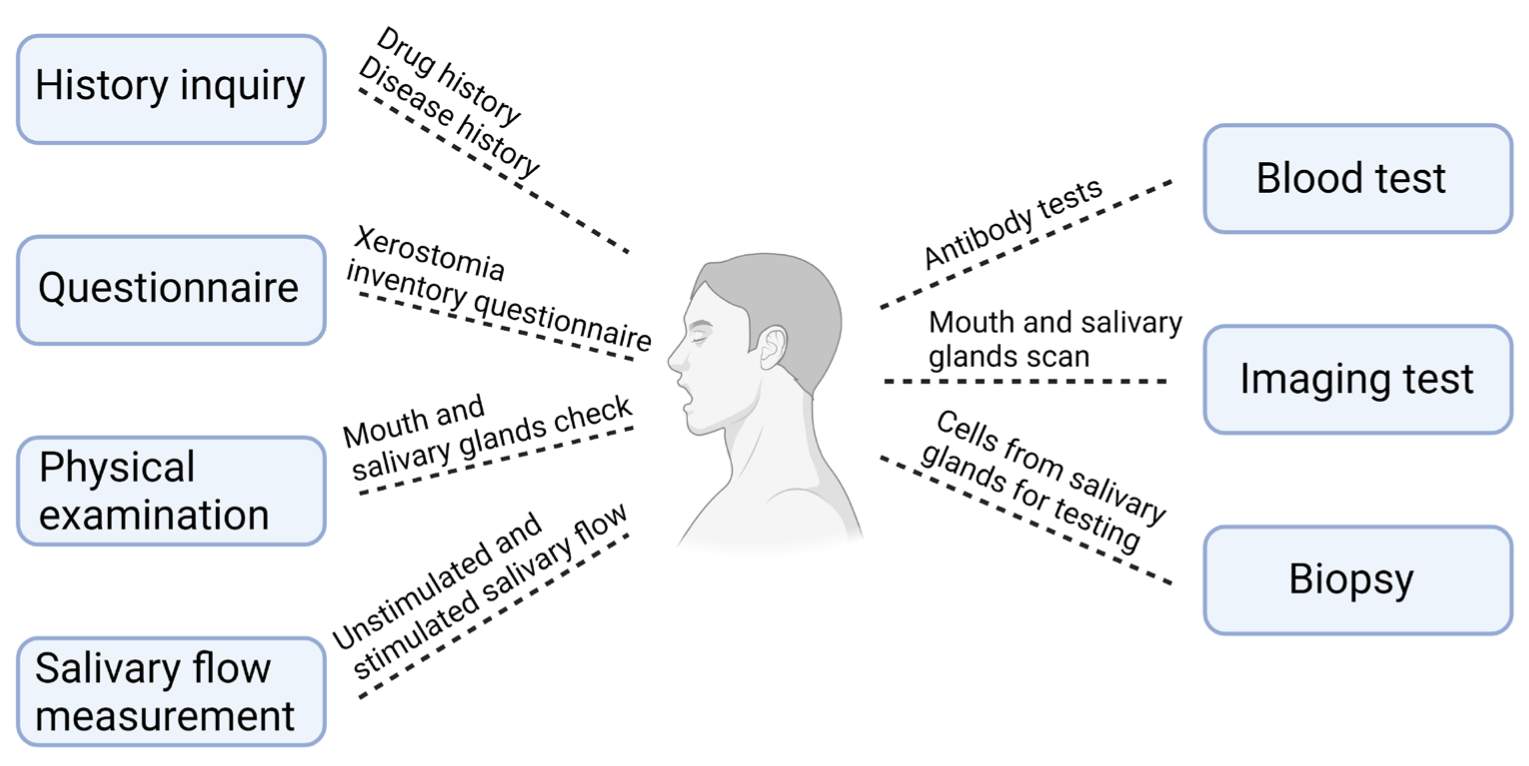 Ijms 25 12815 g001 Ijms 25 12815 g001