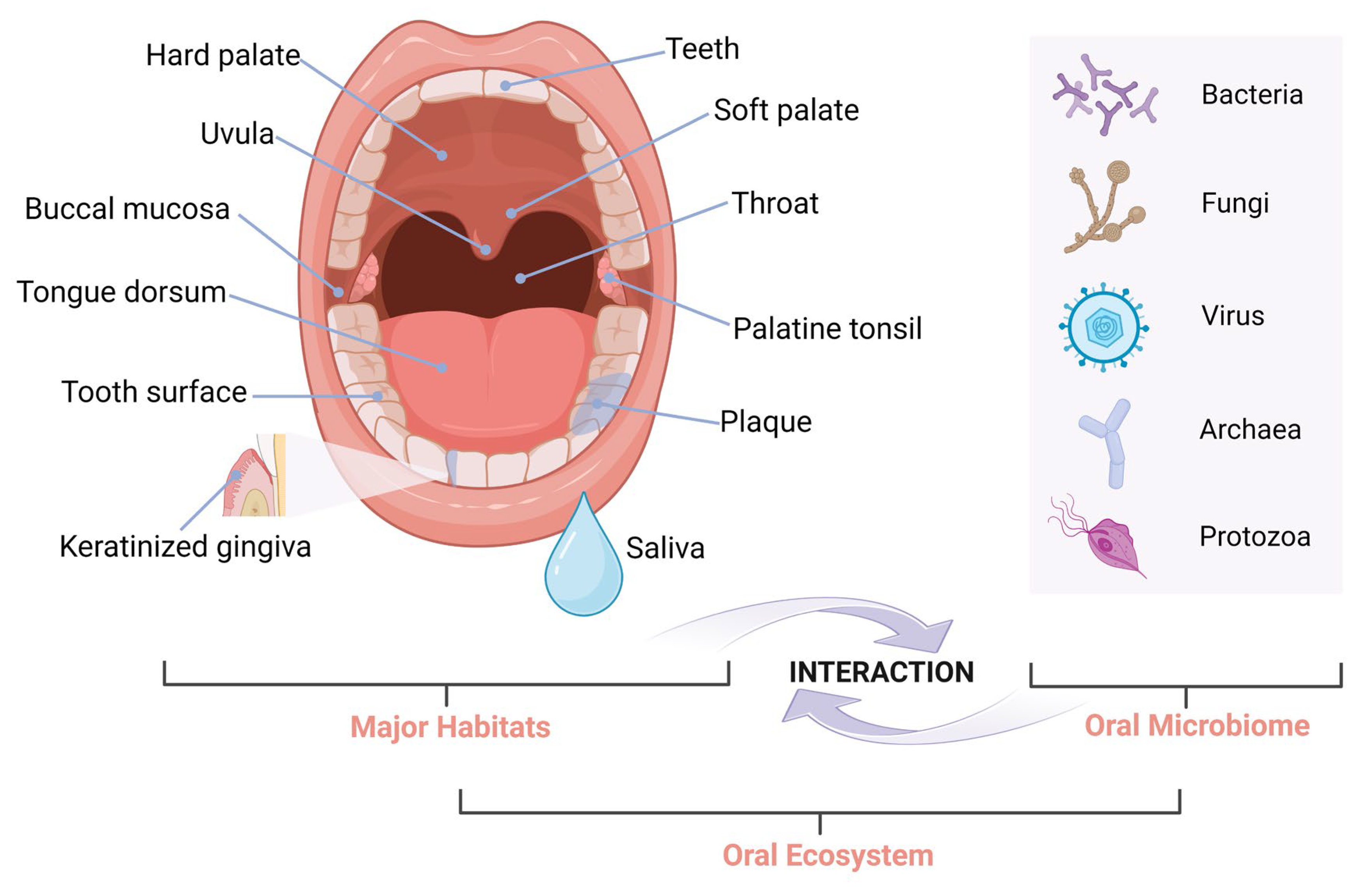 Ijms 25 12815 g002 Ijms 25 12815 g002