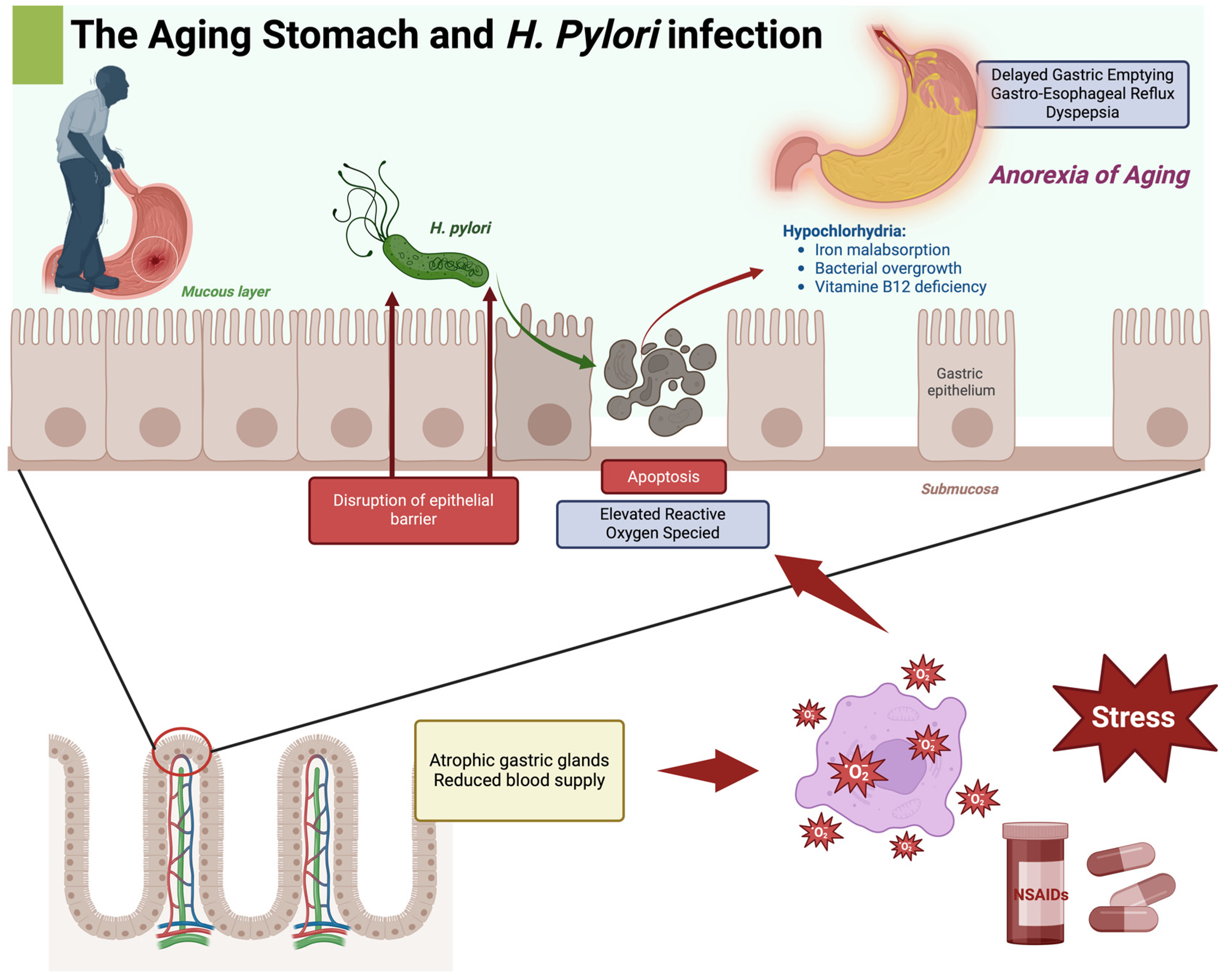 Ijms 25 12826 g002 Ijms 25 12826 g002