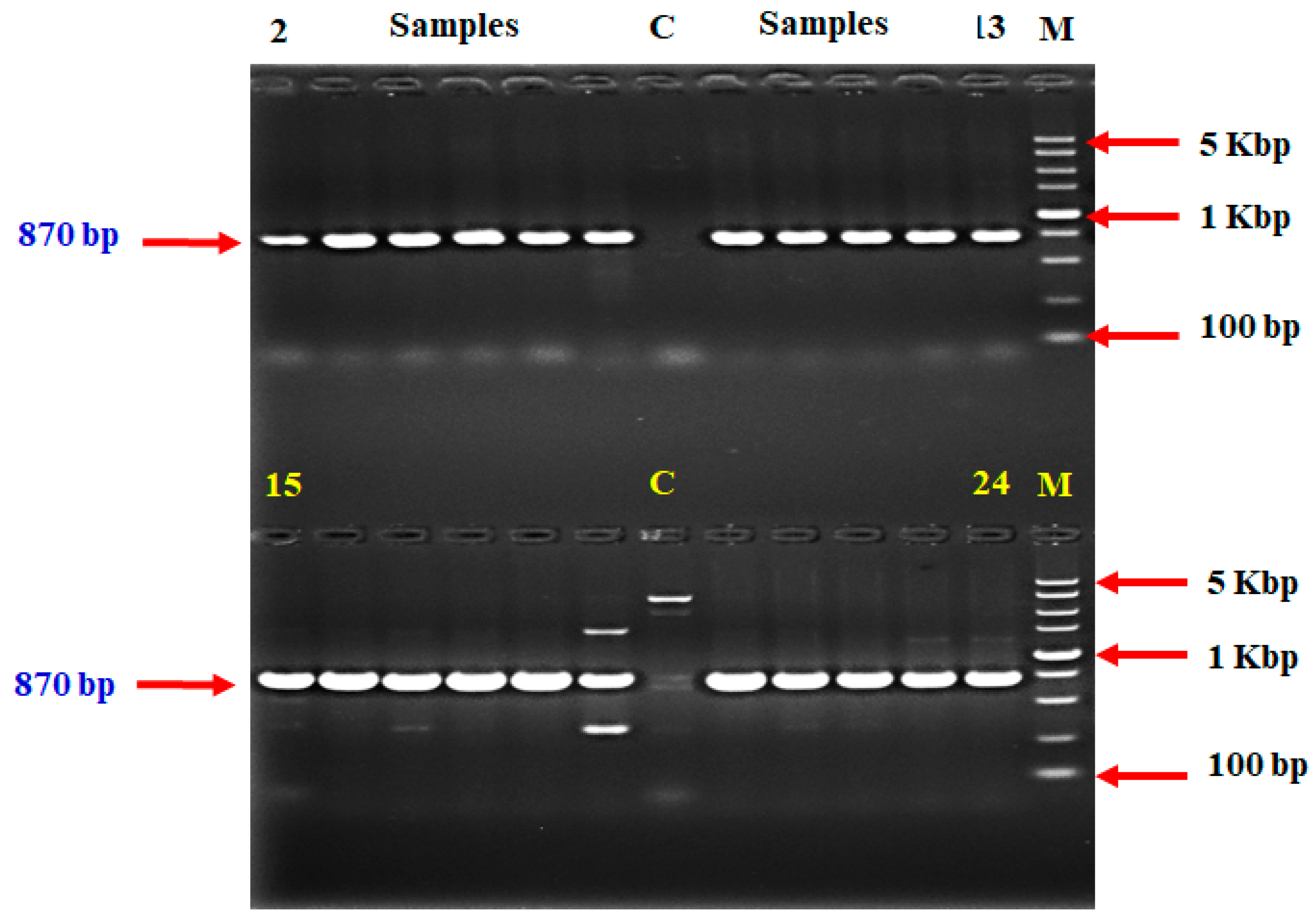 おまとめ３点 3点おまとめ ZXまとめて取引ok様 リクエスト 3点 まとめ商品