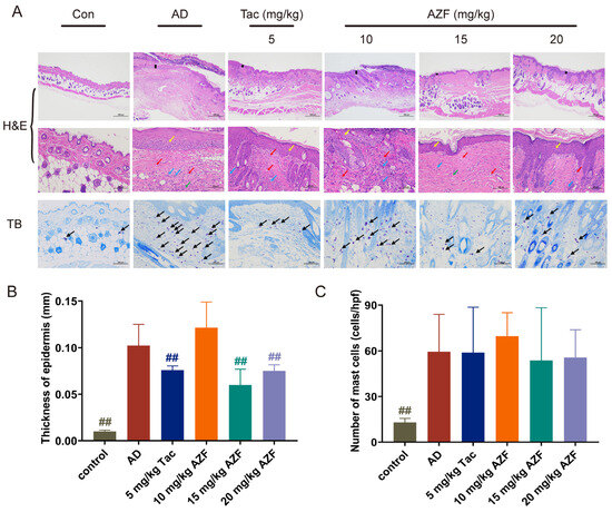 Anti-Atopic Dermatitis Effect of Azalomycin F on 2,4