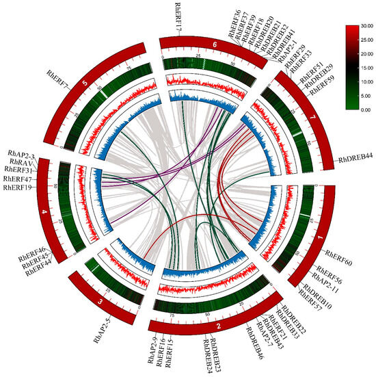 Genome-Wide Identification and Expression Analysis of the AP2/ERF ...