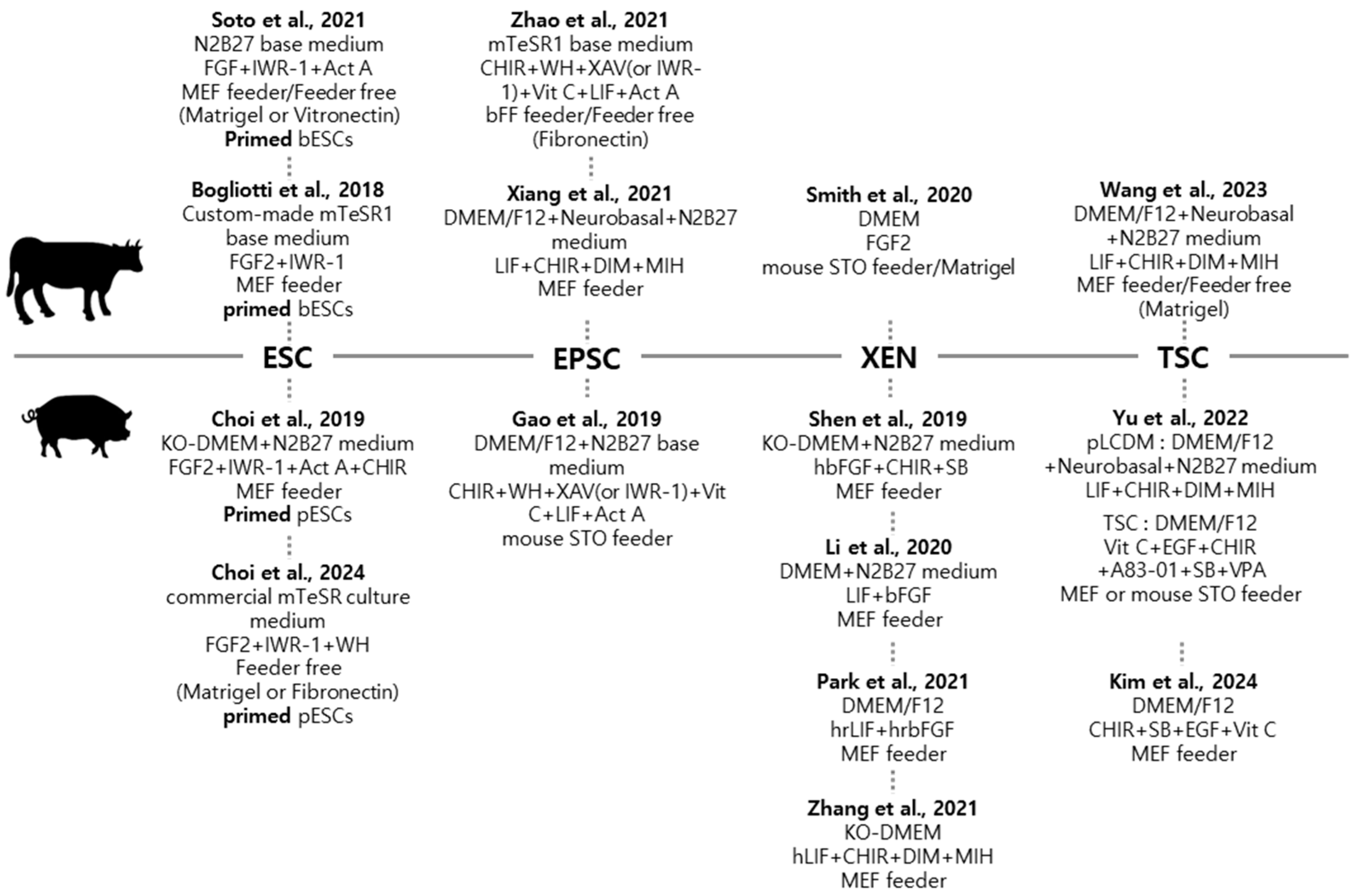 Ijms 25 12862 g002 Ijms 25 12862 g002