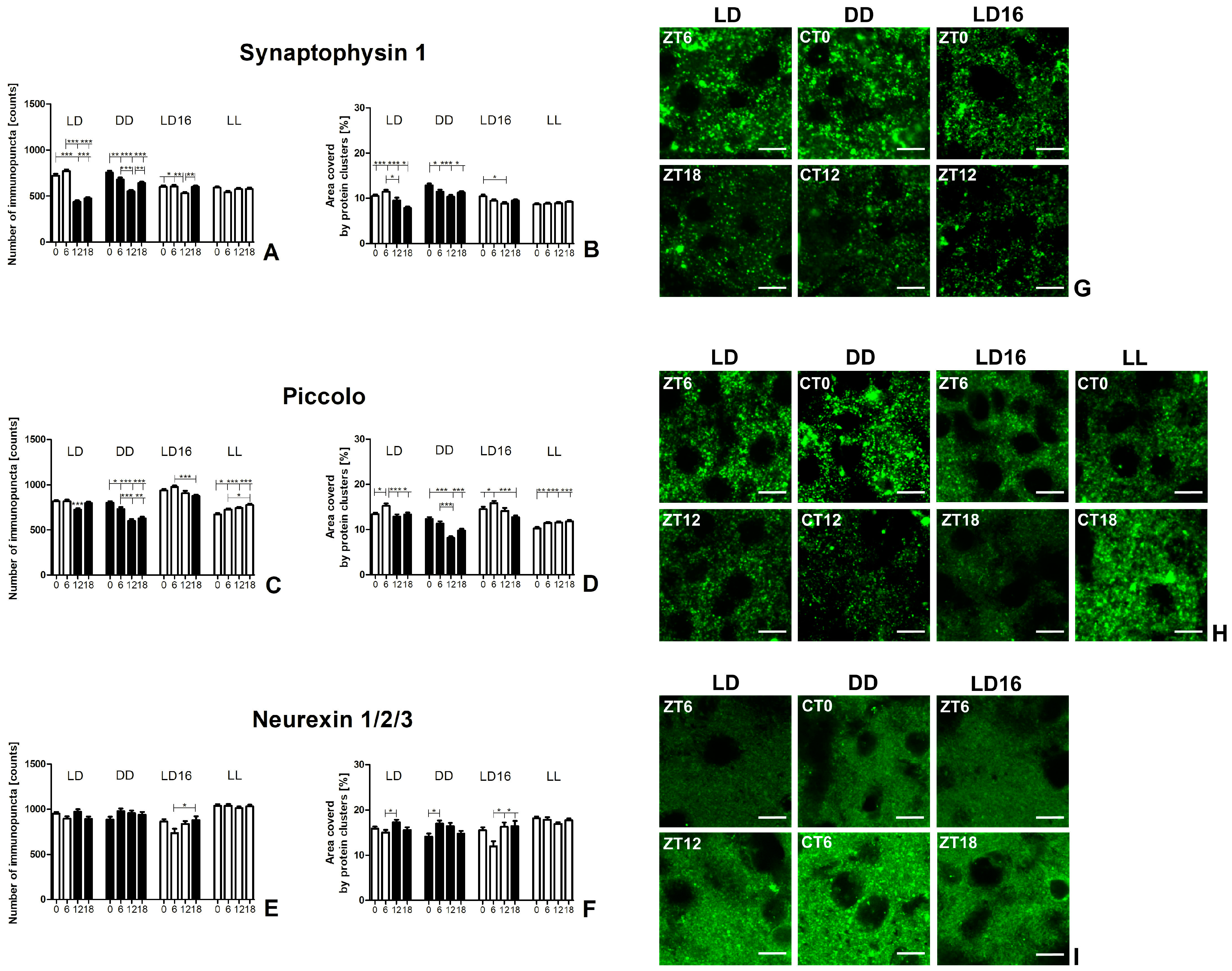 Ijms 25 12870 g003 Ijms 25 12870 g003