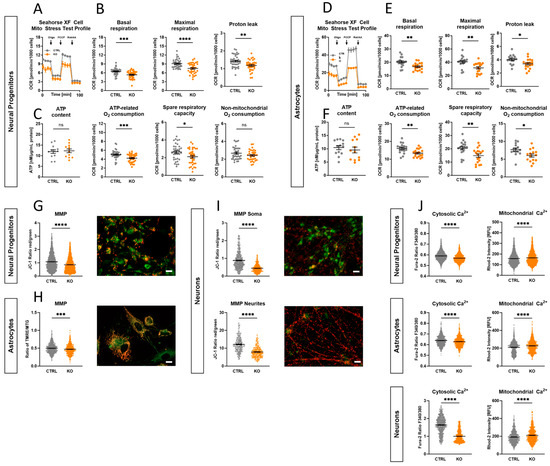 アール A Comprehensive Functional Investigation of the Human