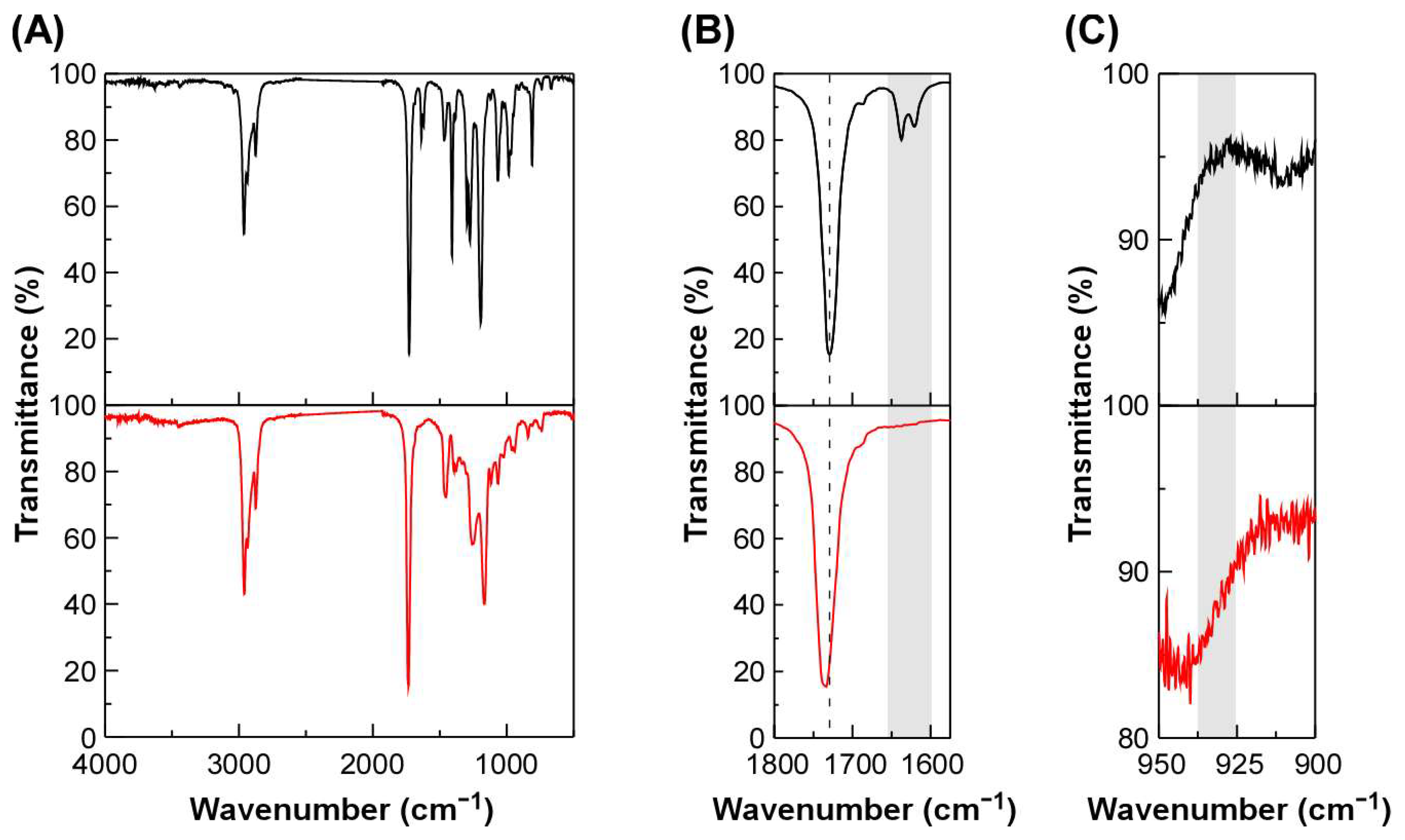 Ijms 25 12897 g002 Ijms 25 12897 g002