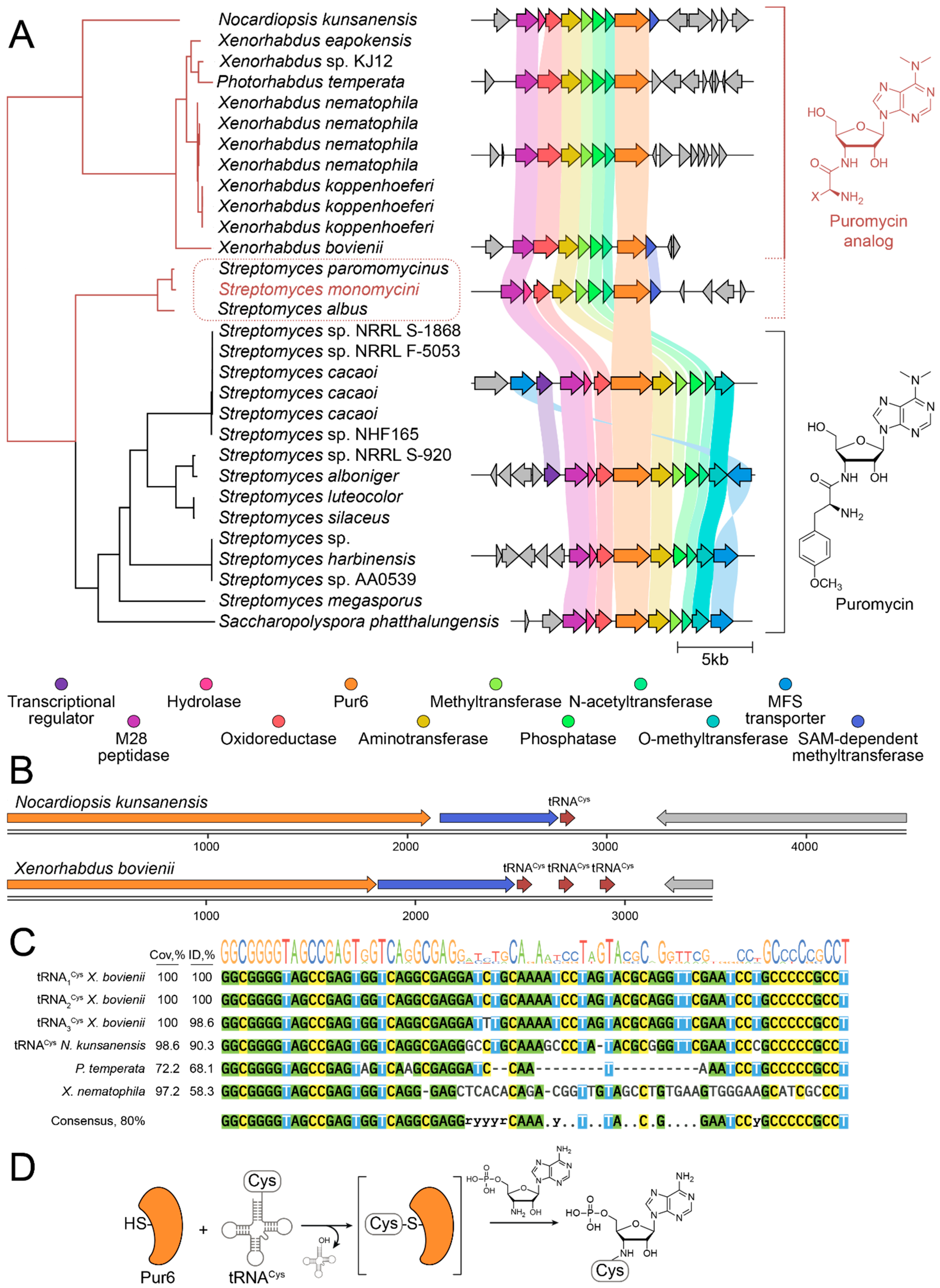 Ijms 25 12901 g002 Ijms 25 12901 g002
