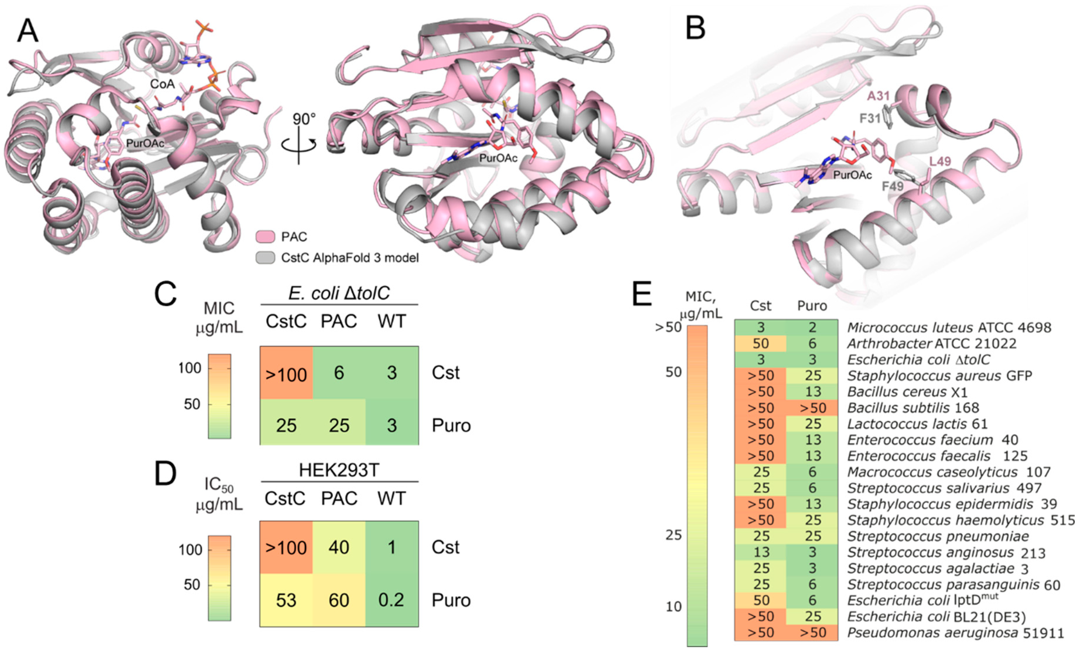 Ijms 25 12901 g005 Ijms 25 12901 g005