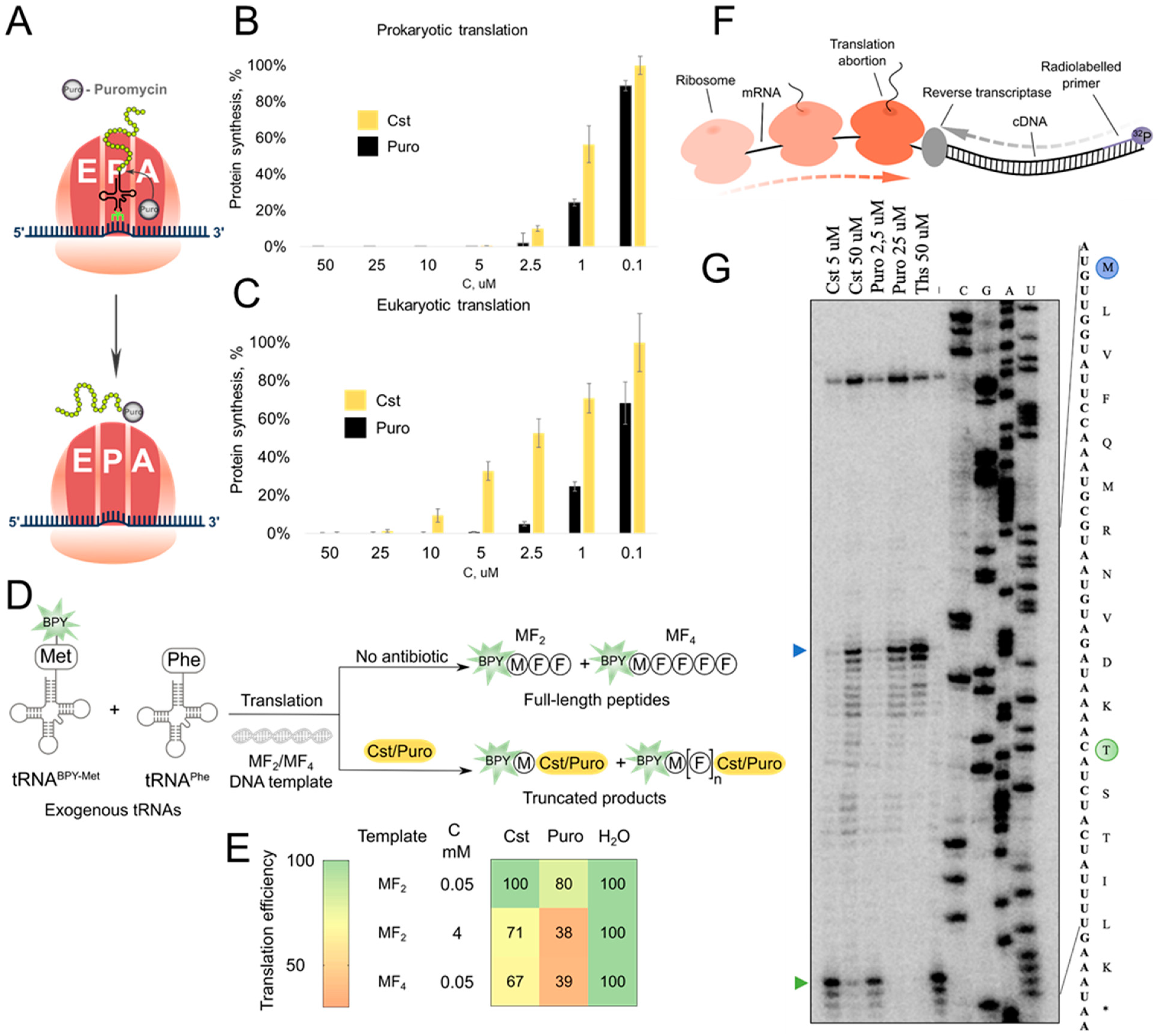 Ijms 25 12901 g006 Ijms 25 12901 g006