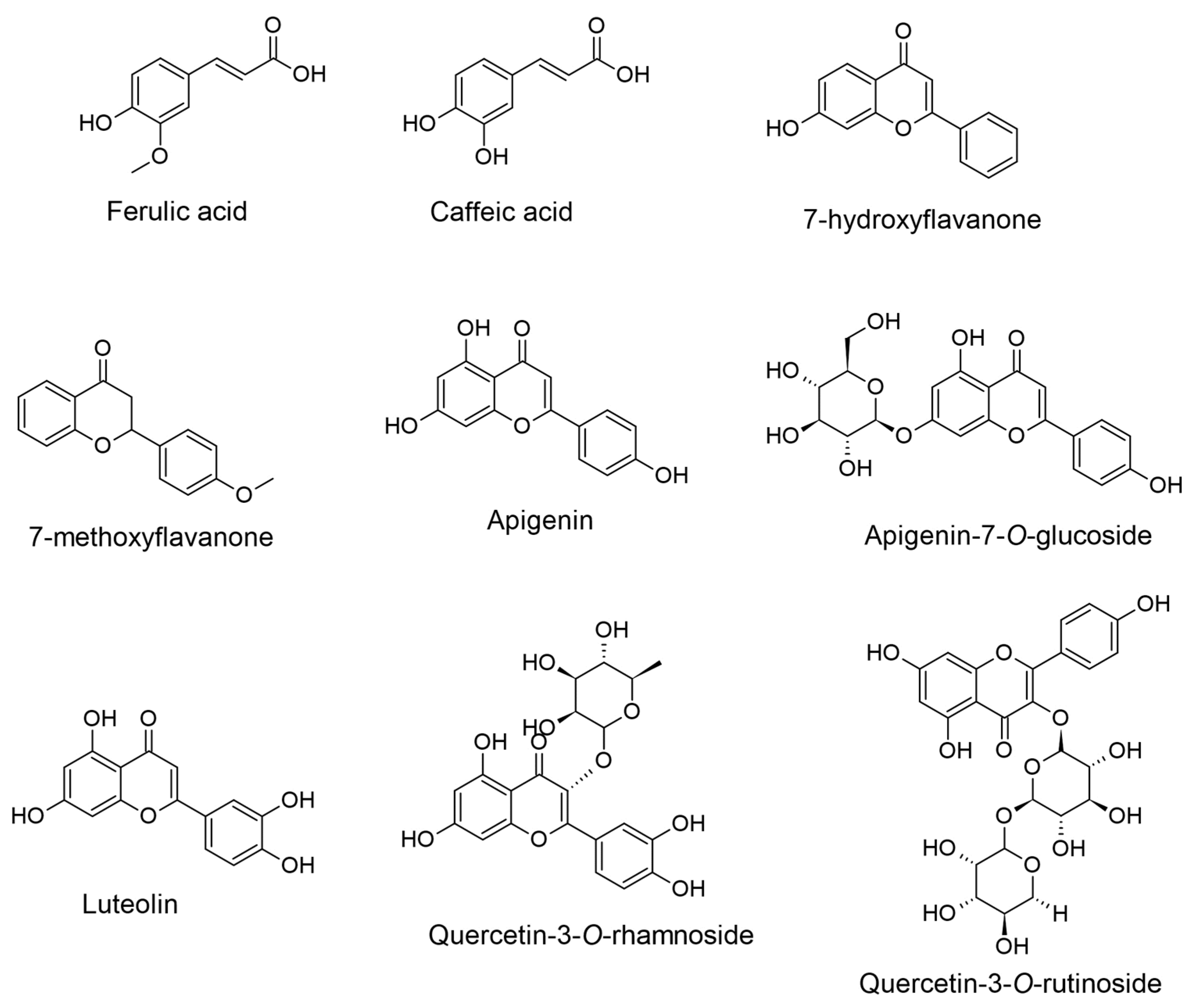 Ijms 25 12902 g002 Ijms 25 12902 g002