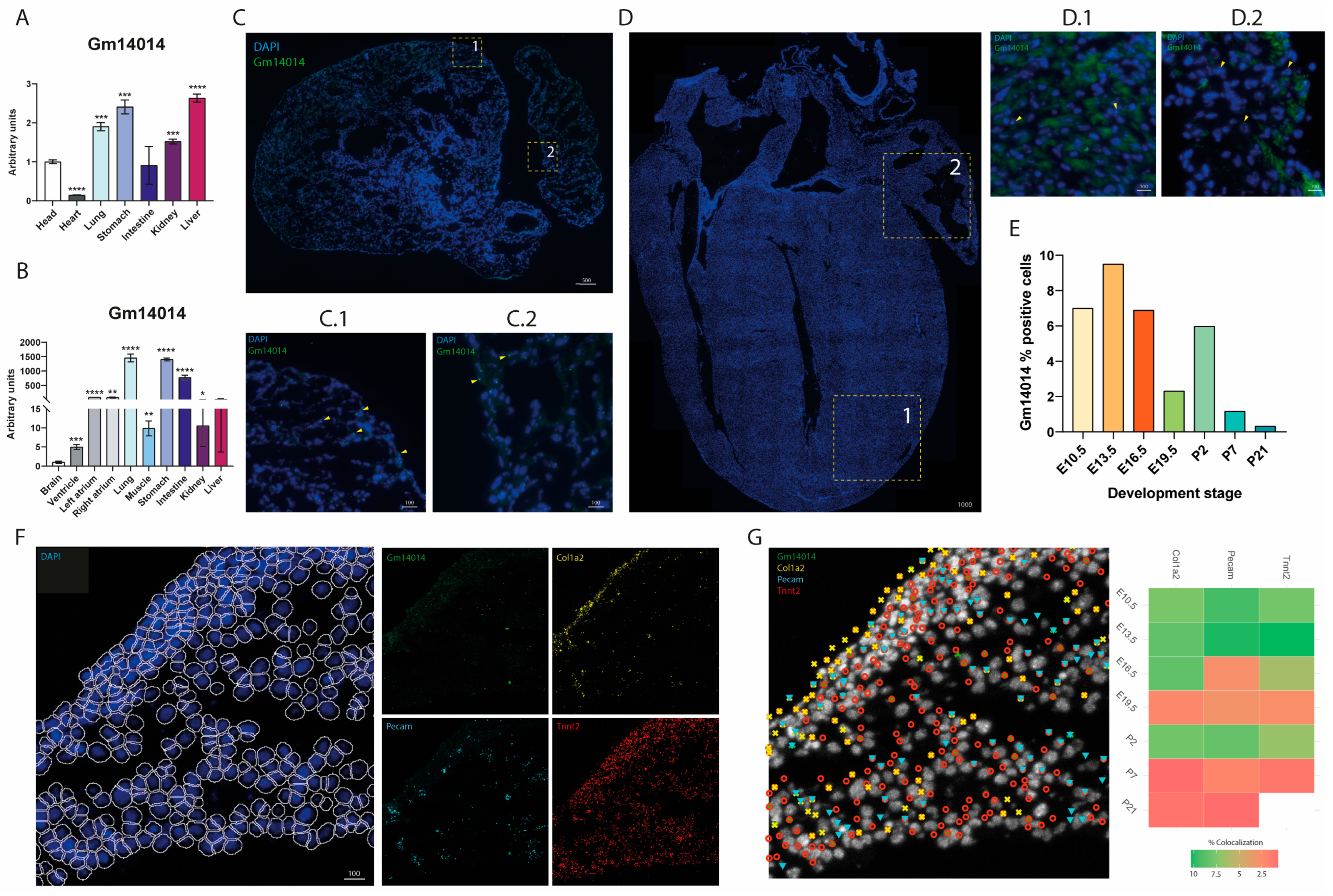 Ijms 25 12904 g002 Ijms 25 12904 g002