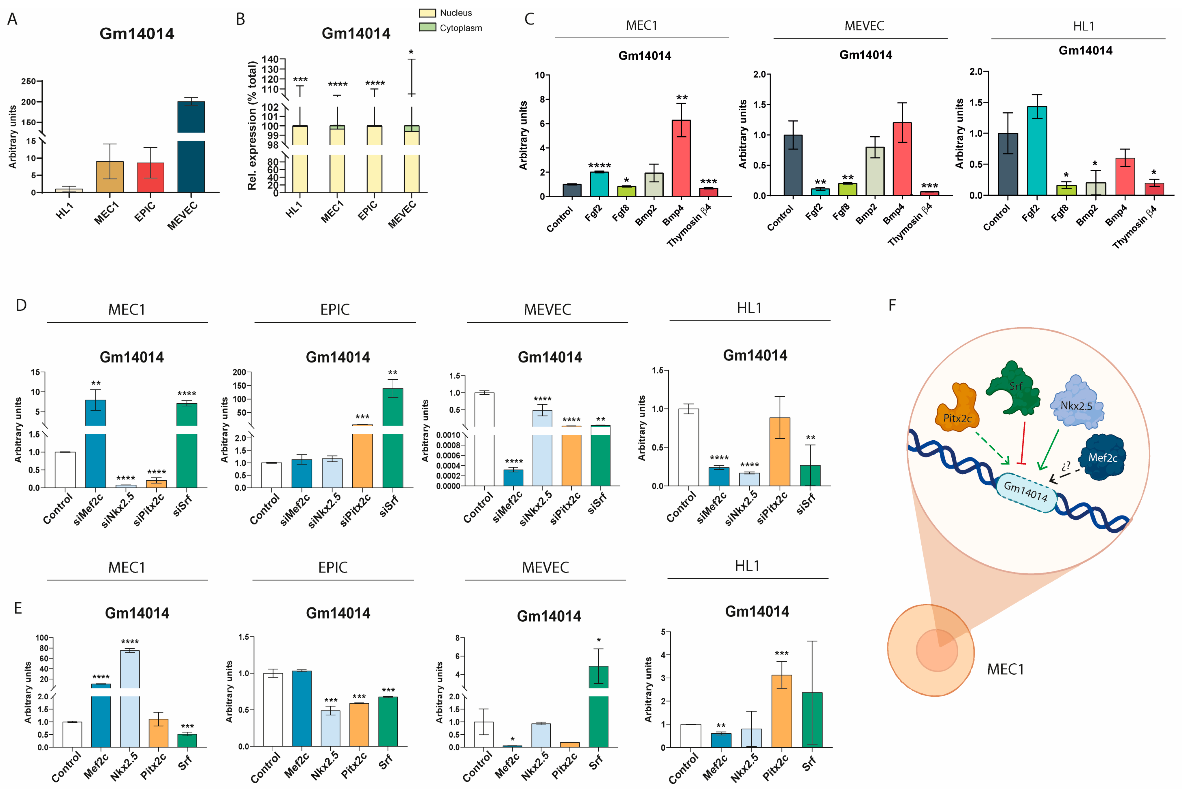 Ijms 25 12904 g003 Ijms 25 12904 g003
