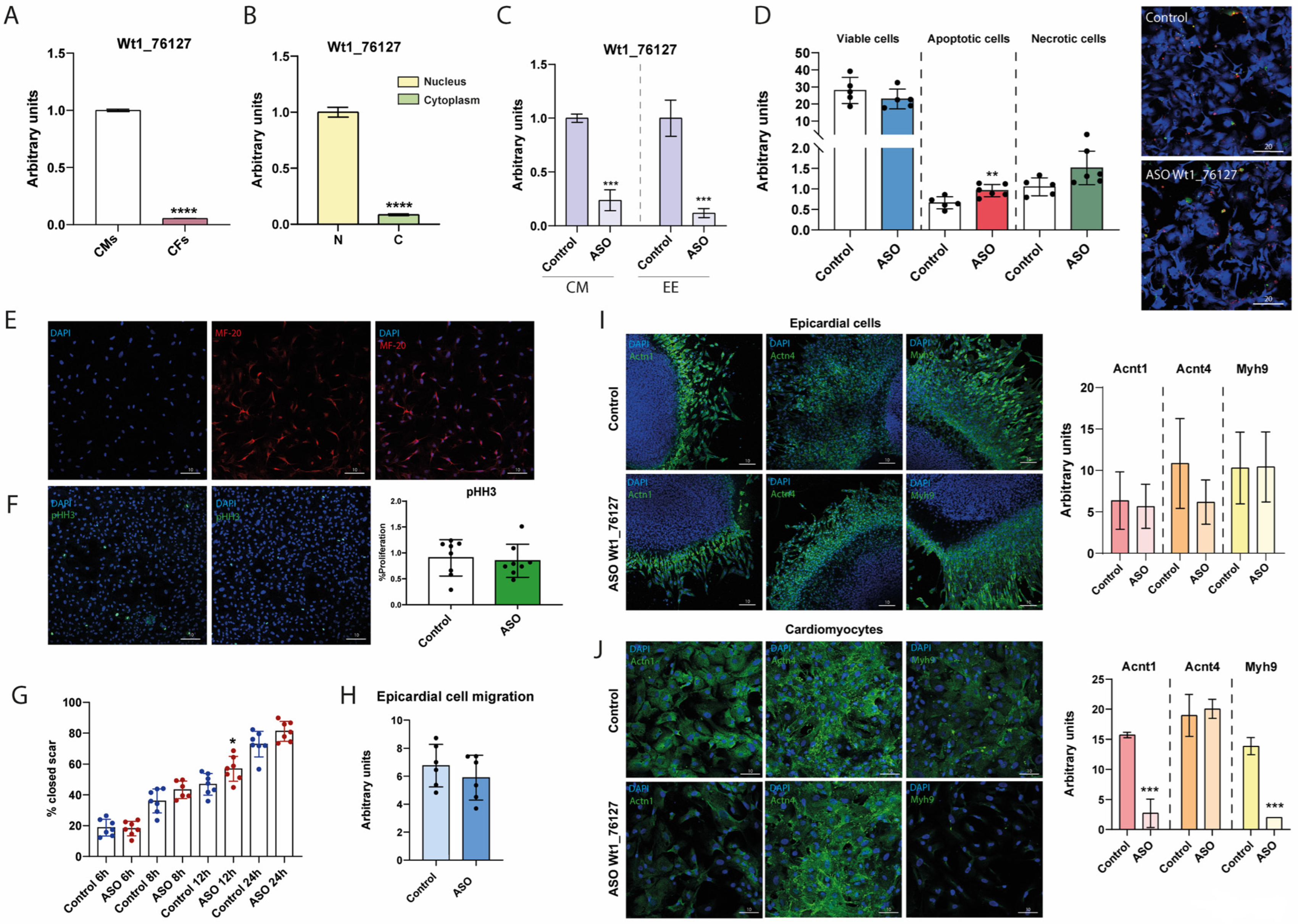 Ijms 25 12904 g005 Ijms 25 12904 g005