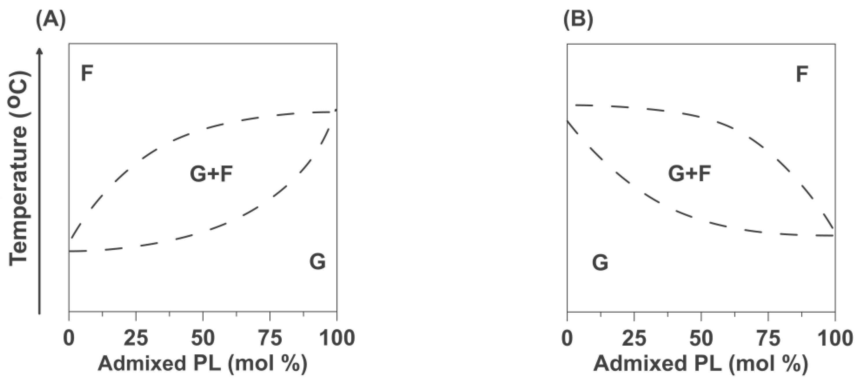 Ijms 25 12913 g006 Ijms 25 12913 g006