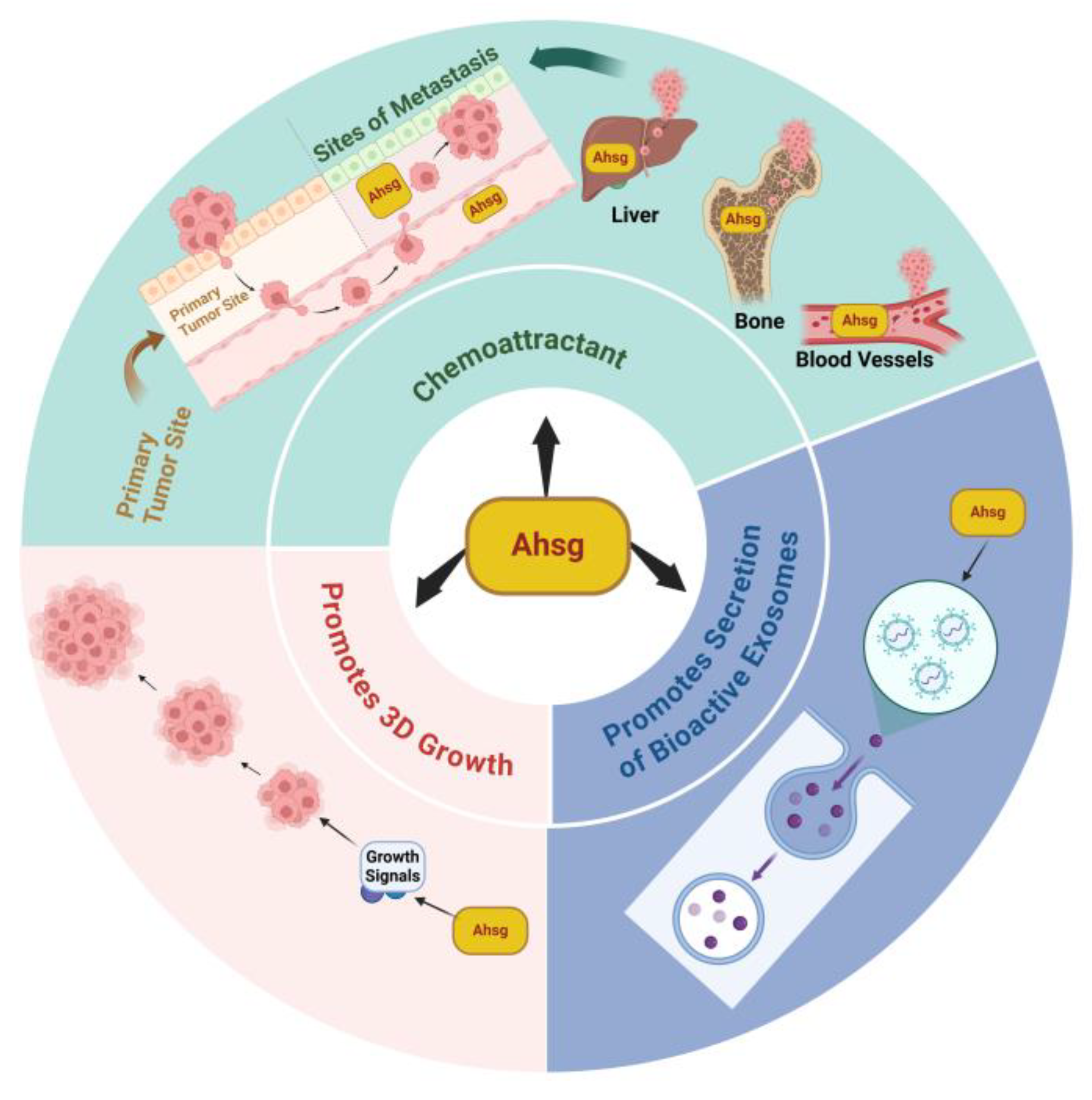 Ijms 25 12918 g002 Ijms 25 12918 g002