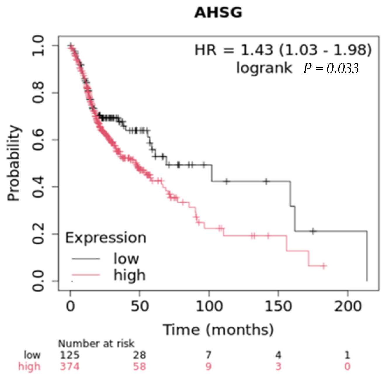 Ijms 25 12918 g005 Ijms 25 12918 g005