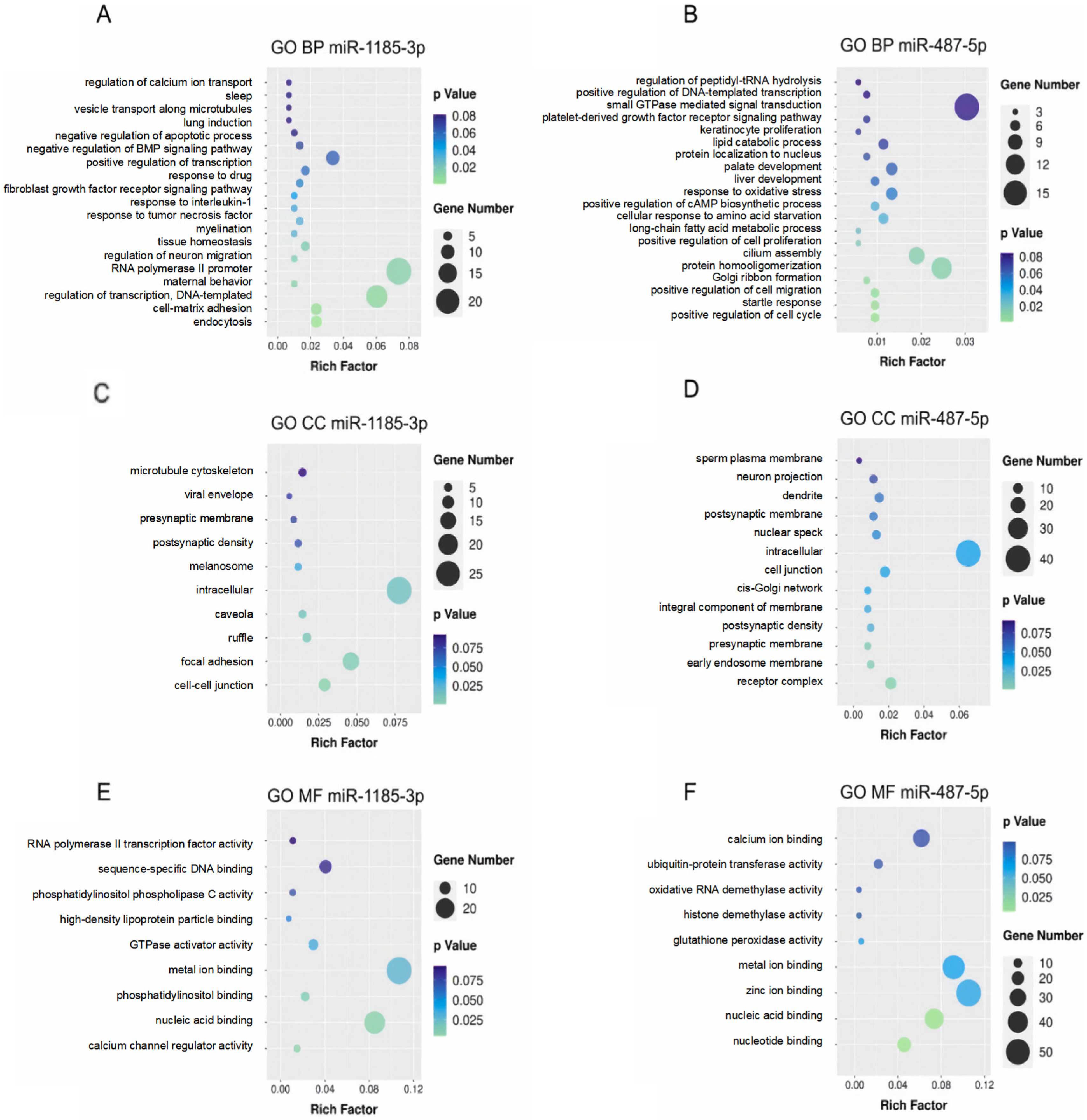 Ijms 25 12919 sch001